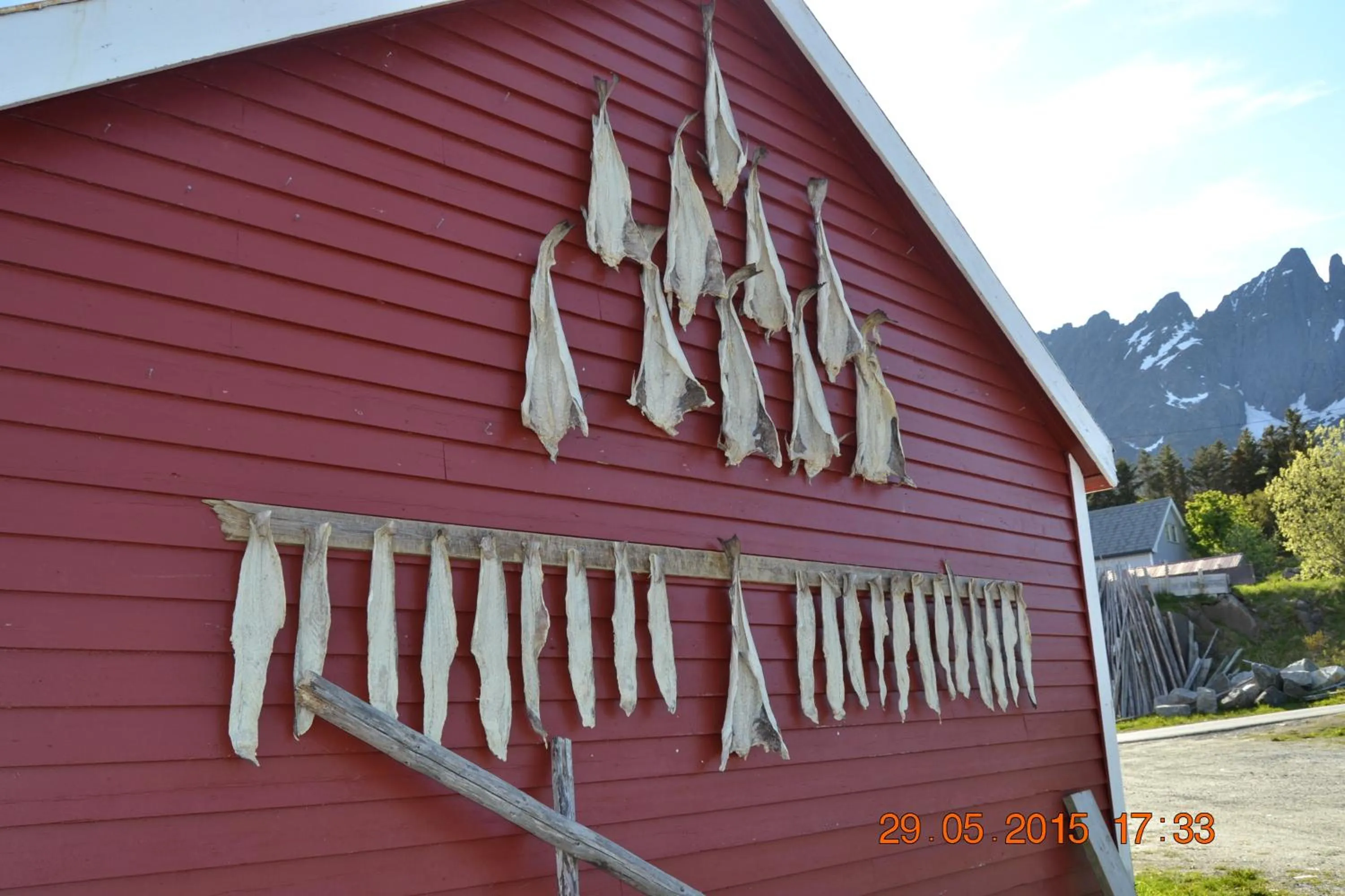 Spring in Sjøstrand Rorbuer