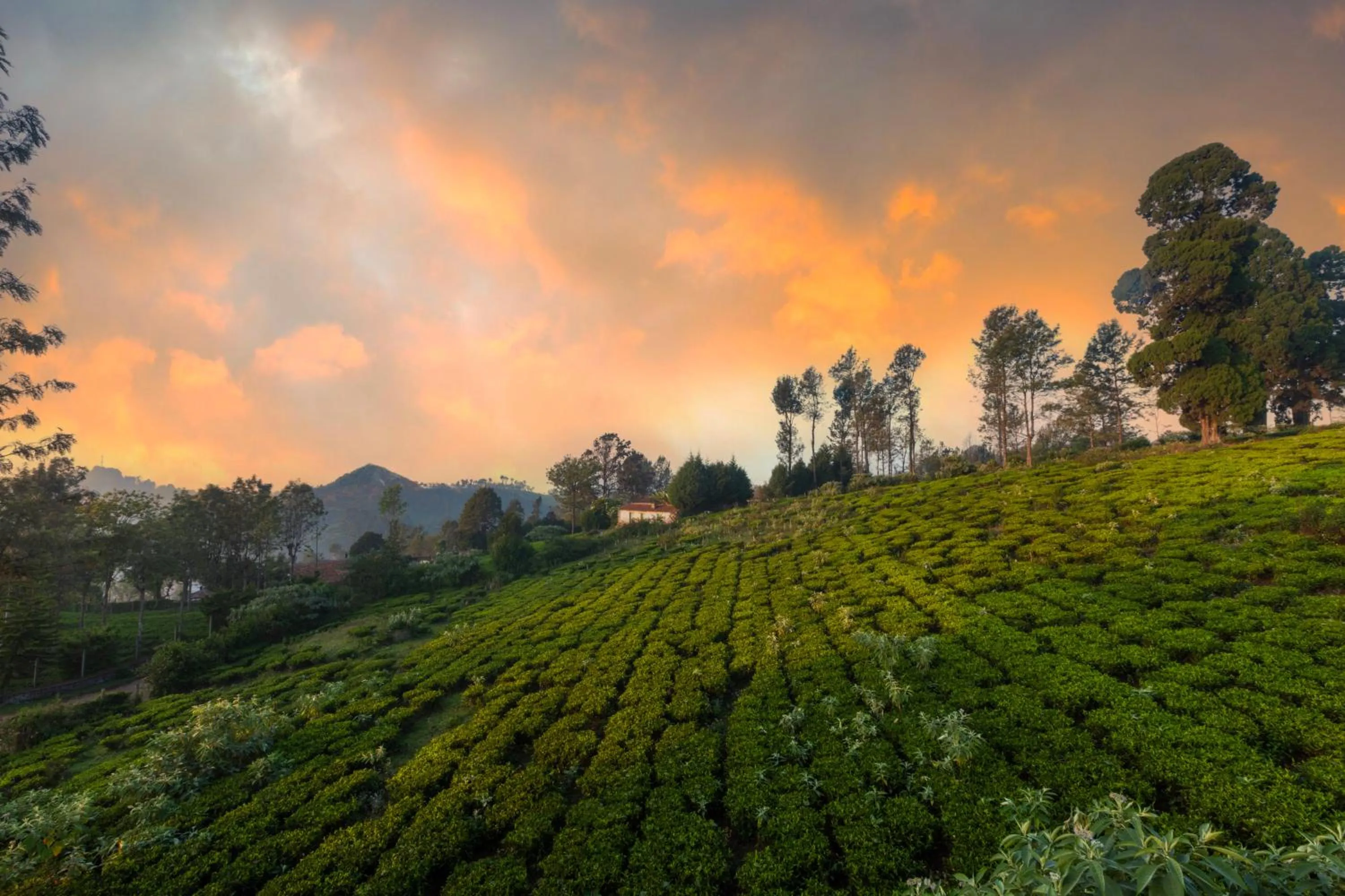 View (from property/room) in Solitude by Nature Resorts and Stays