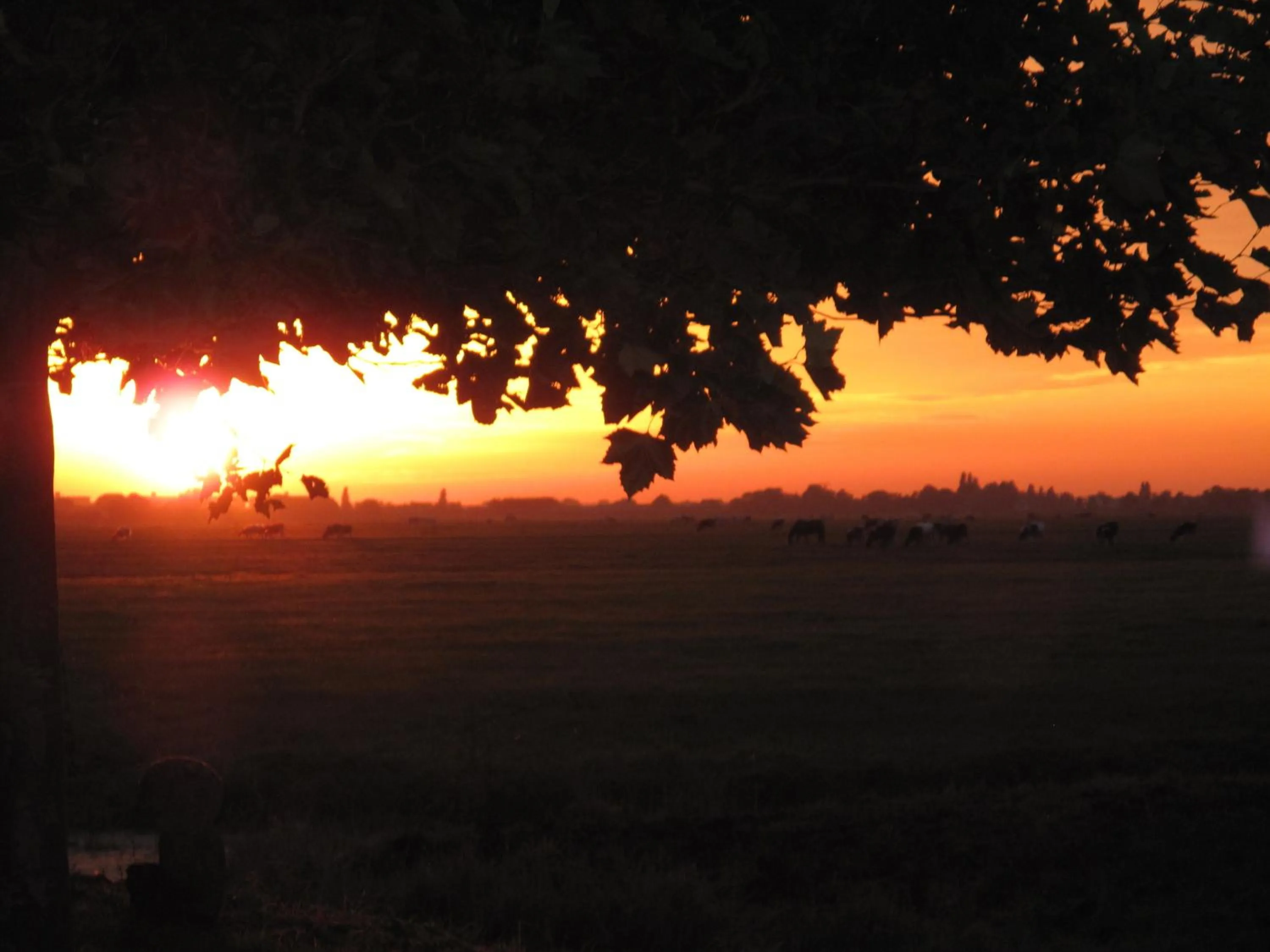 Autumn in The Waverly House