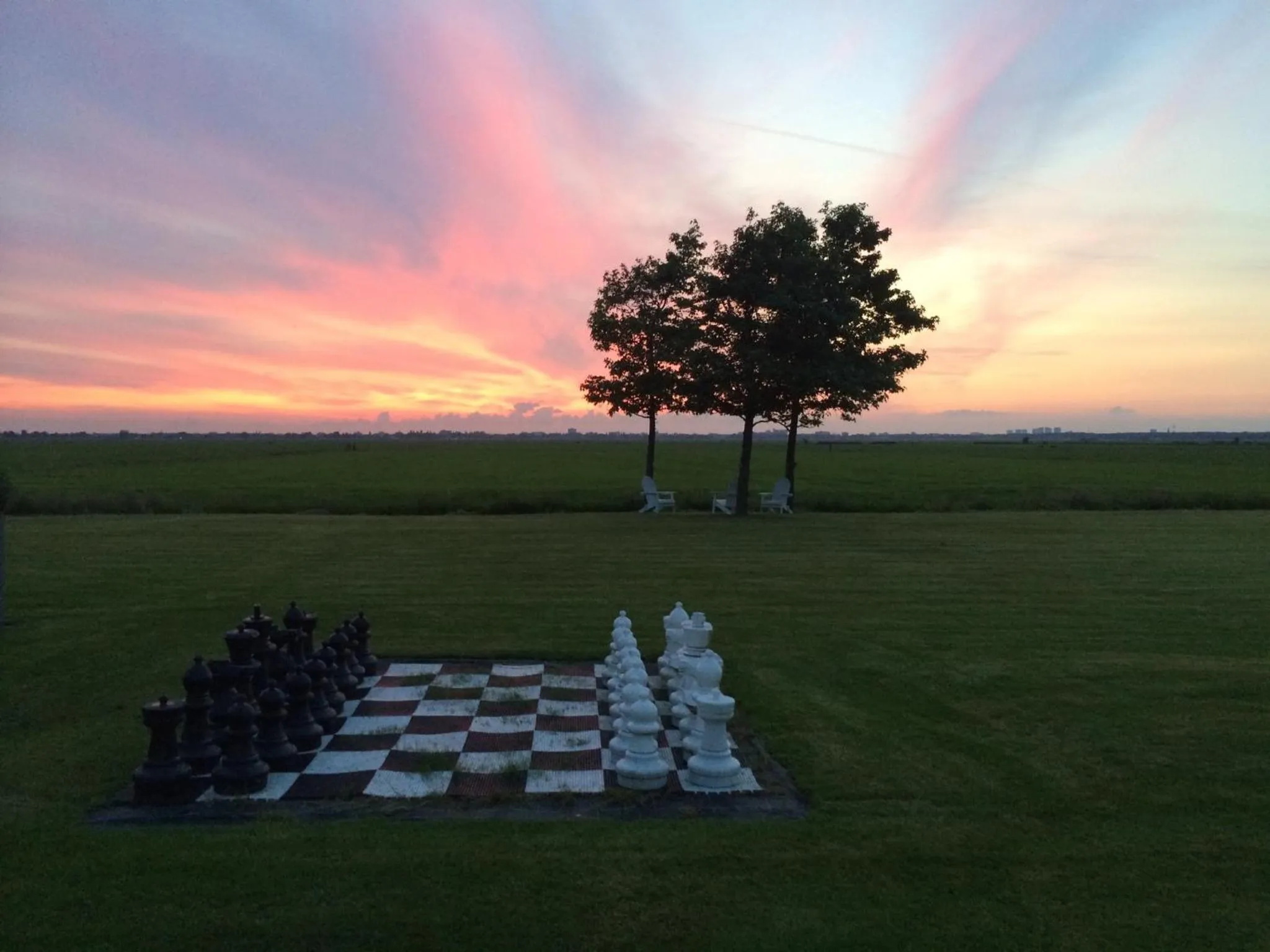 Garden in The Waverly House