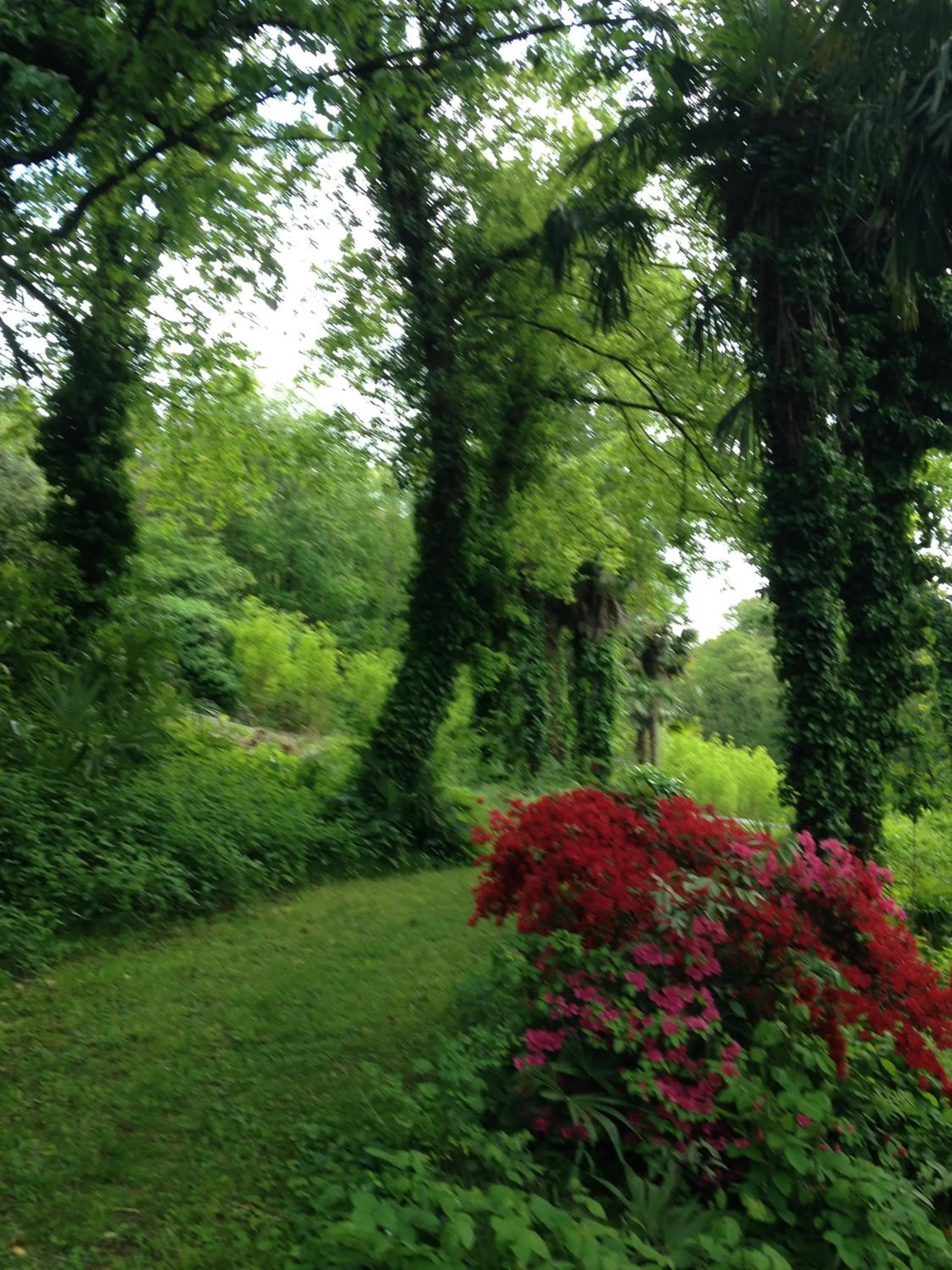 Garden in apartment BB Lago Nel Pagliaio