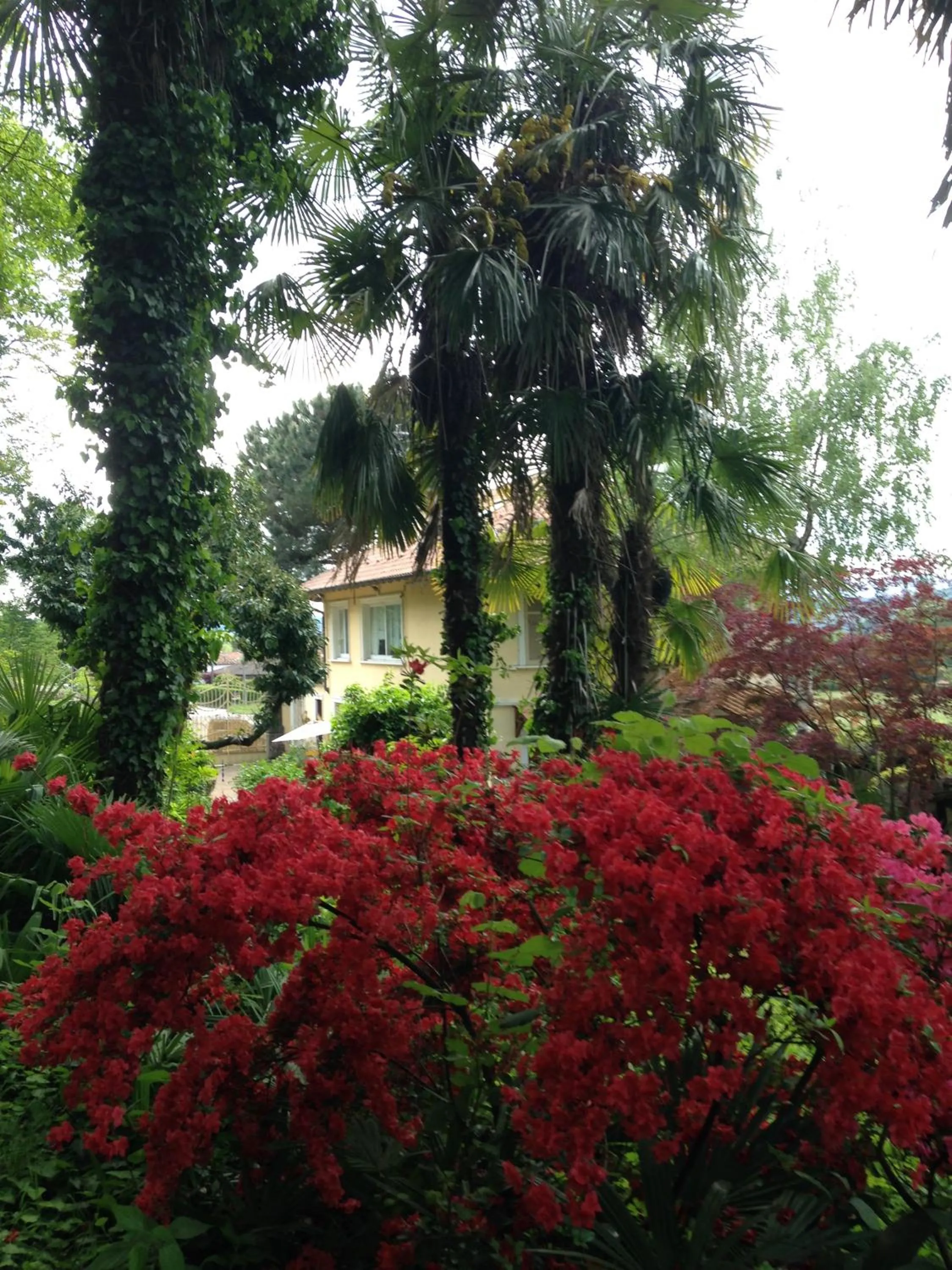 Spring in apartment BB Lago Nel Pagliaio