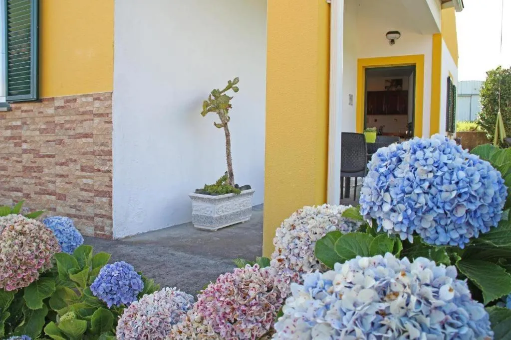 Casas da Boa Vista
