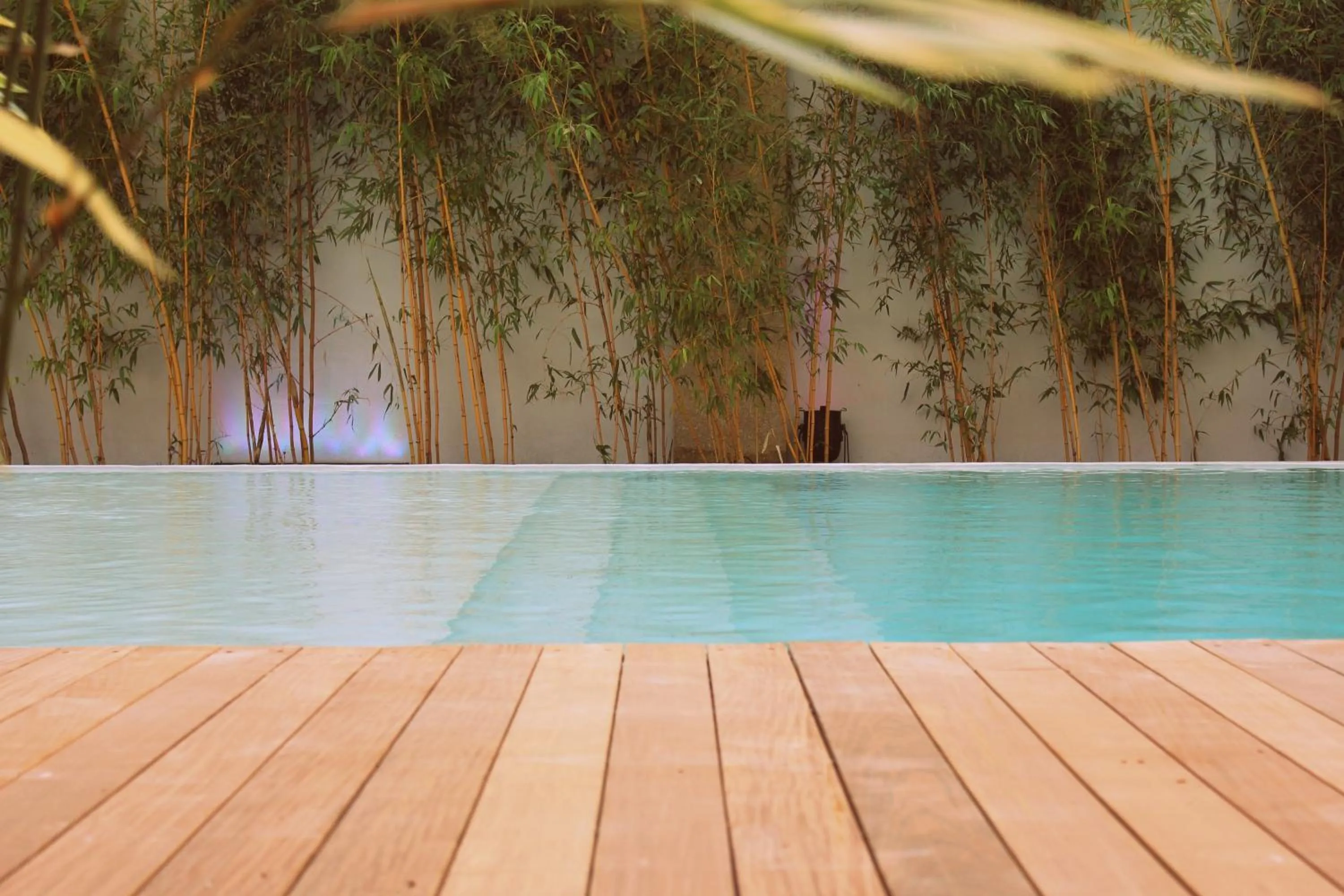 Garden in HÔTEL C SUITES chambres spacieuses