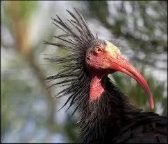 Other in Résidence Fanti