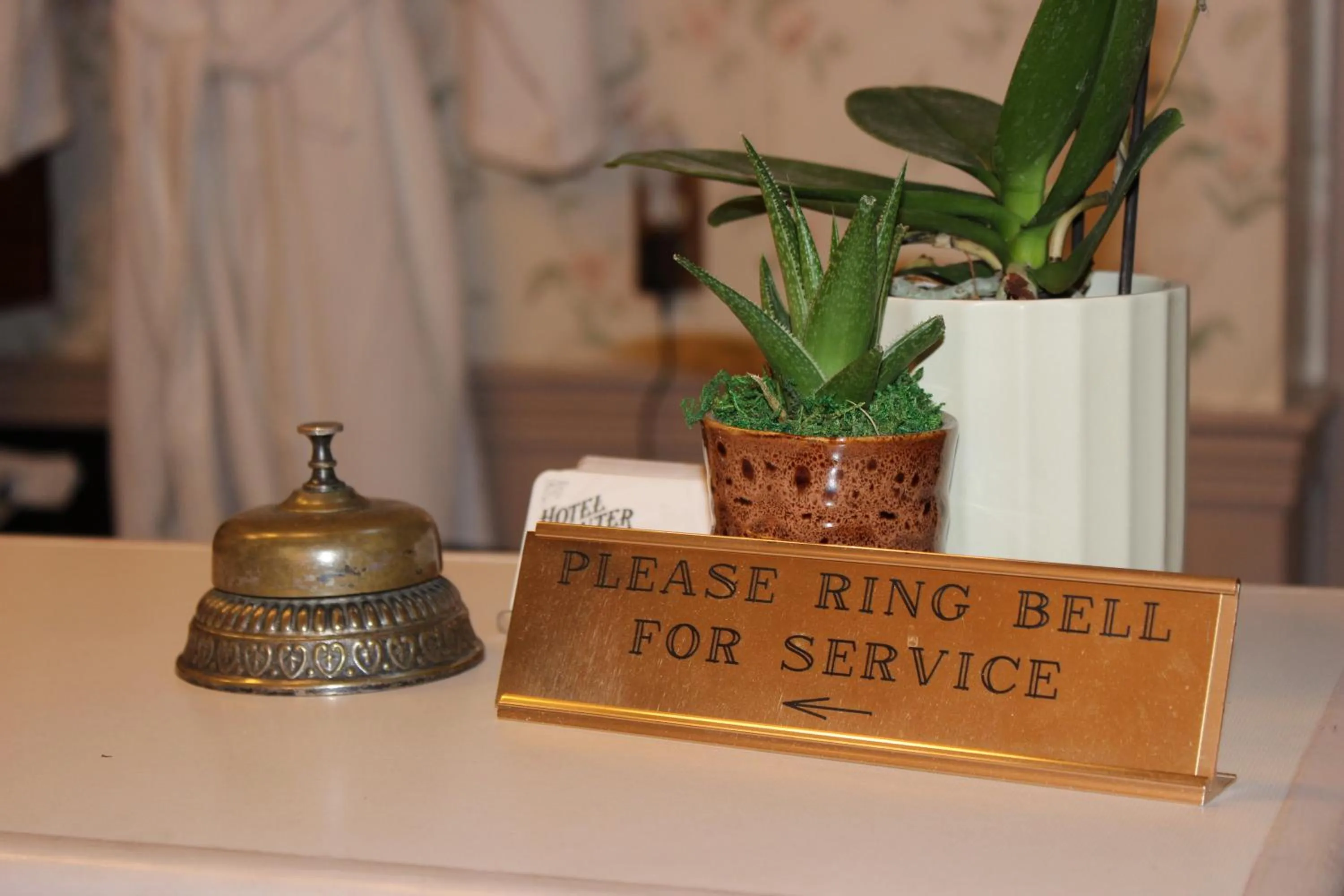 Text overlay in Hotel Planter