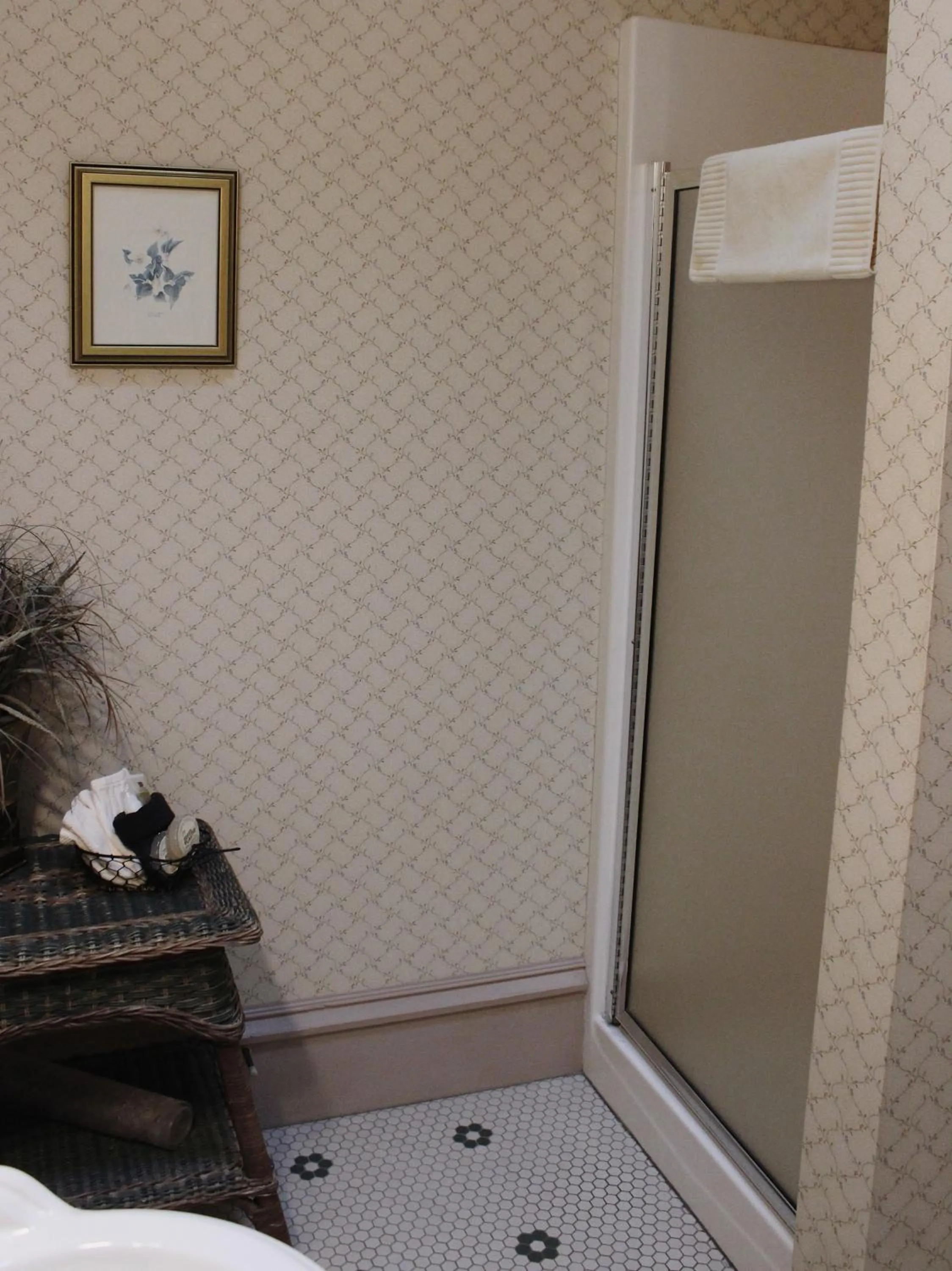 Shower, Bed in Hotel Planter