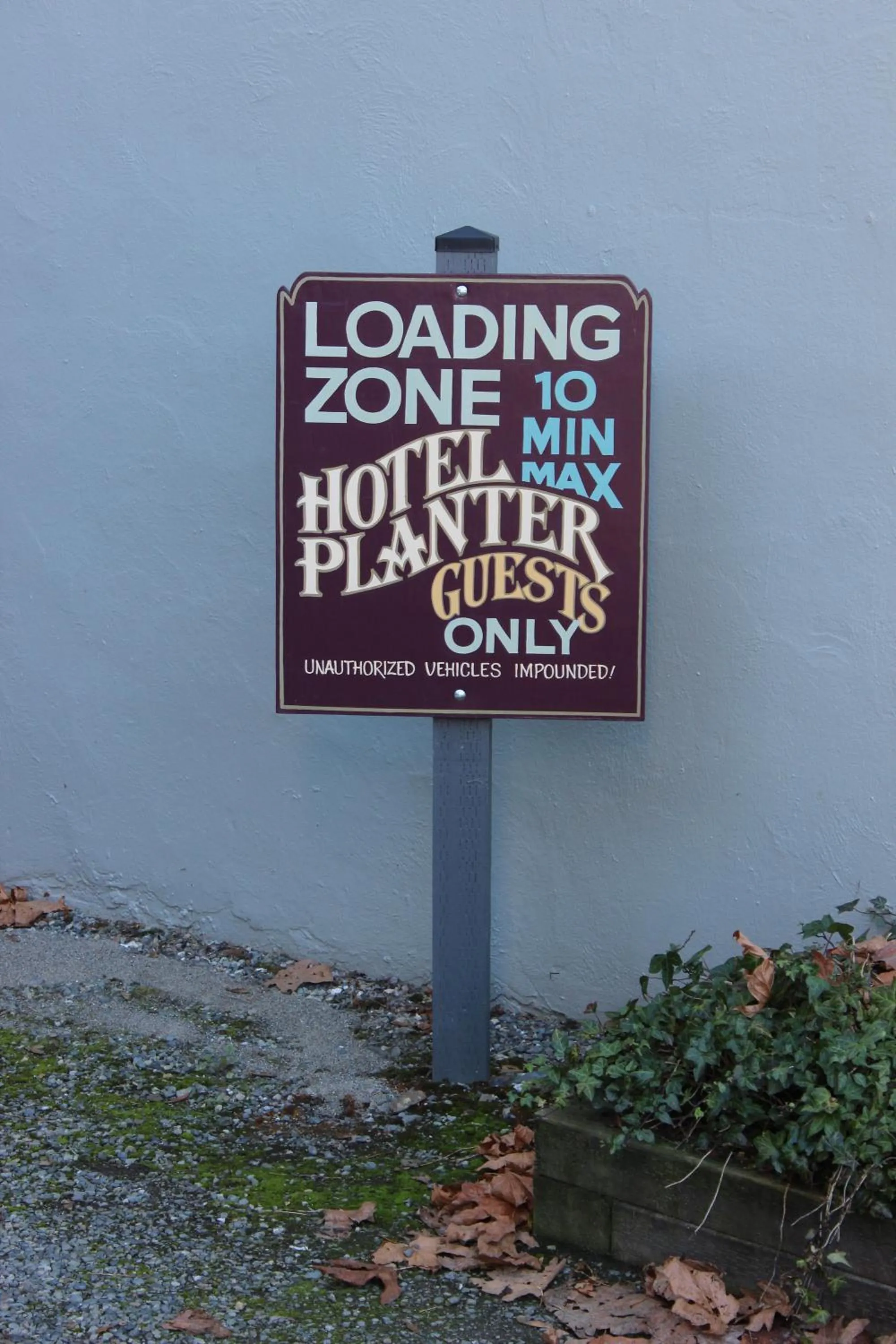 Day in Hotel Planter