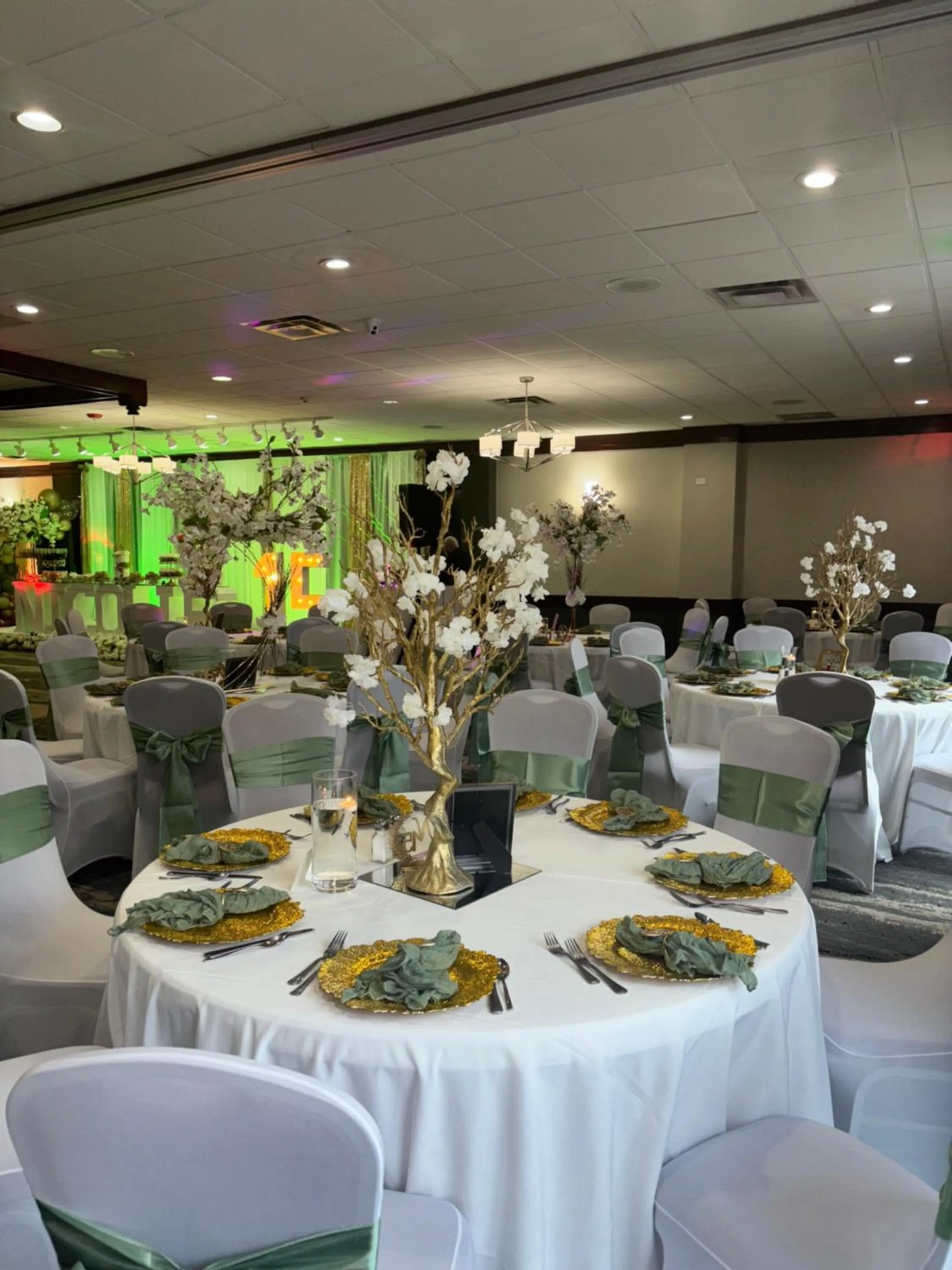 Banquet/Function facilities in Best Western Plus Clarks Summit Scranton Hotel