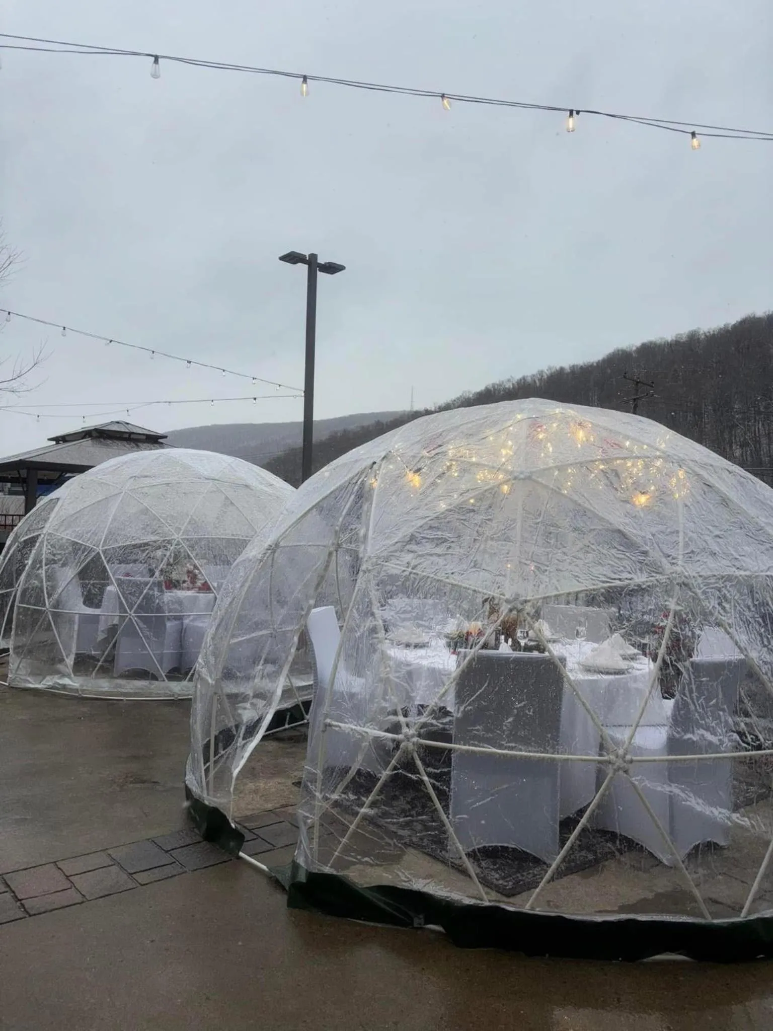 Restaurant/places to eat in Best Western Plus Clarks Summit Scranton Hotel