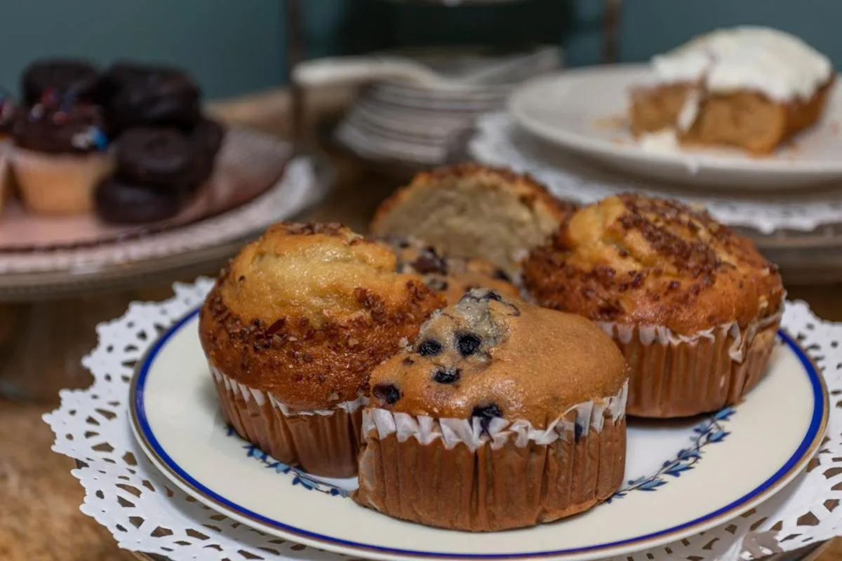 South Broadway Manor B&B - Near Fallingwater, Ohiopyle State Park, Hiking & Biking trails GAP