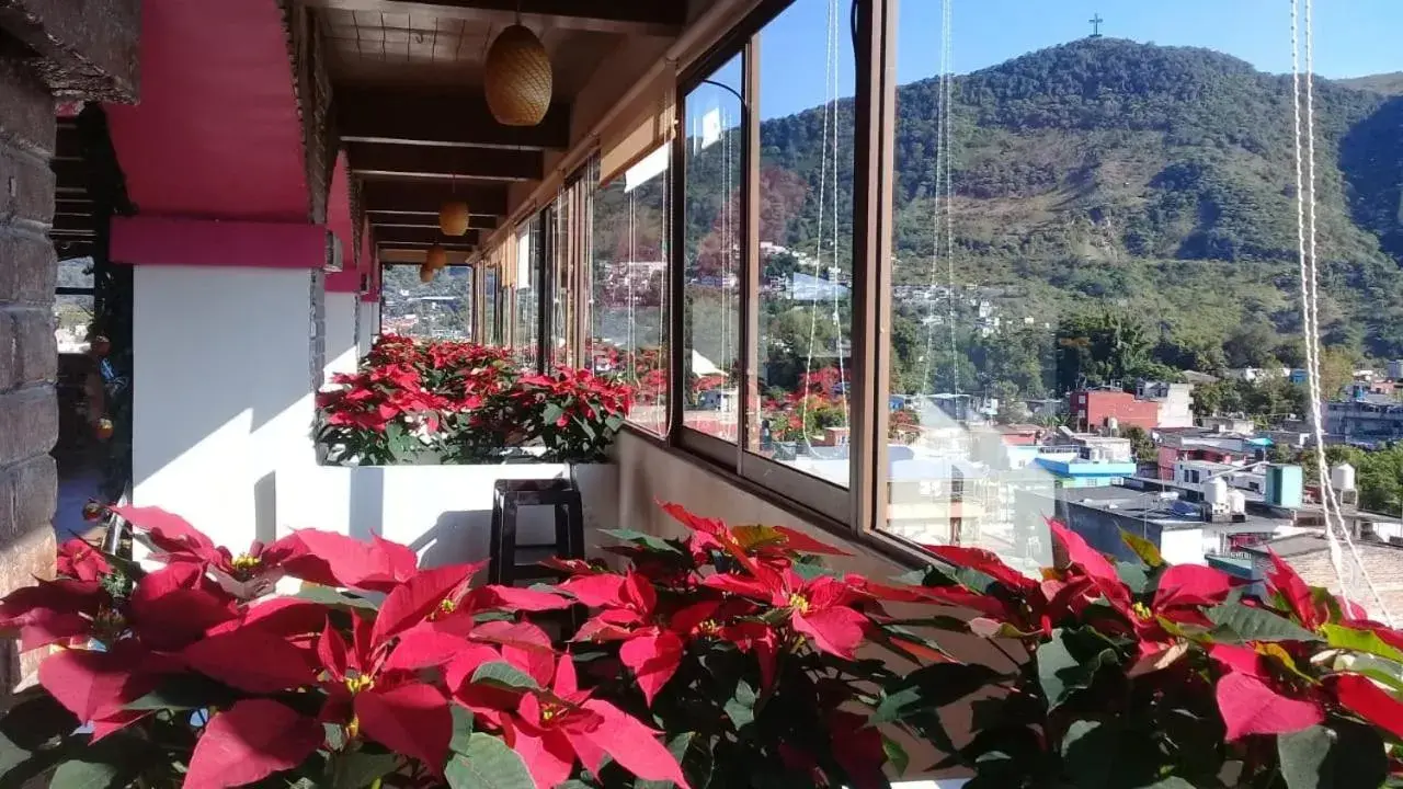 Hotel Villa de Cortez Hotel Villa de Cortez