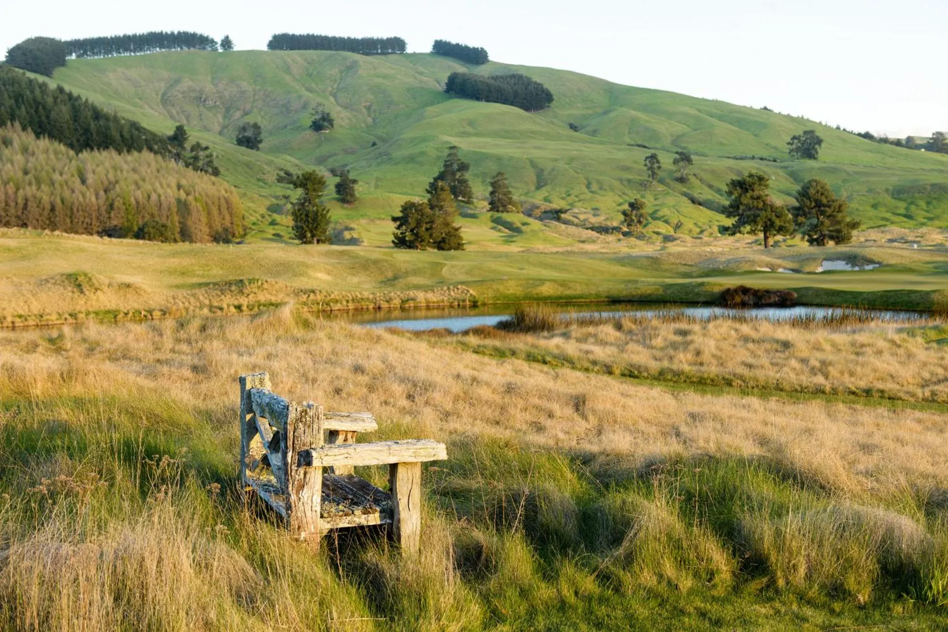 Natural landscape in Dunalistair House at The Kinloch Club Golf Course