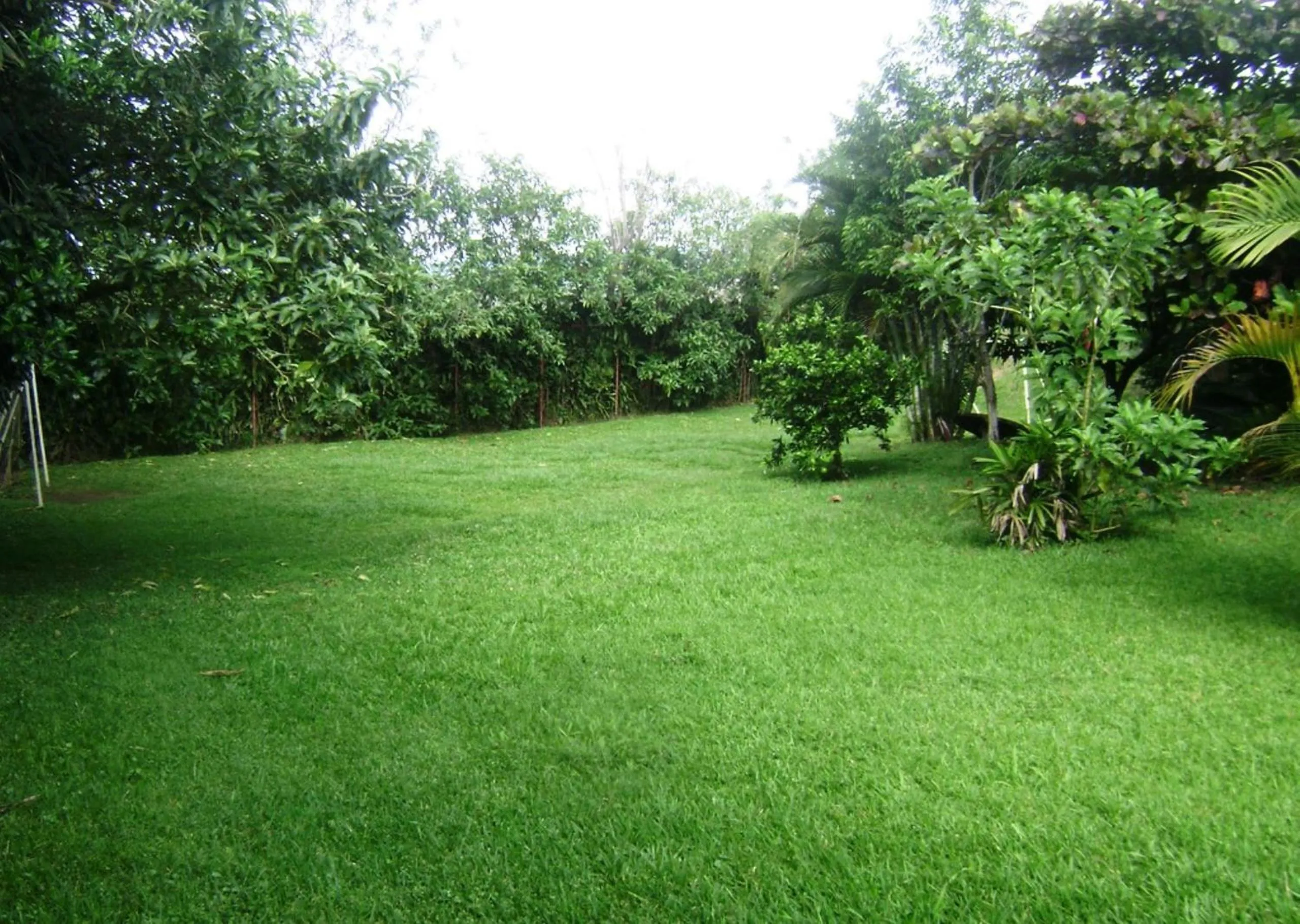 Garden in B&B Garden Grecia