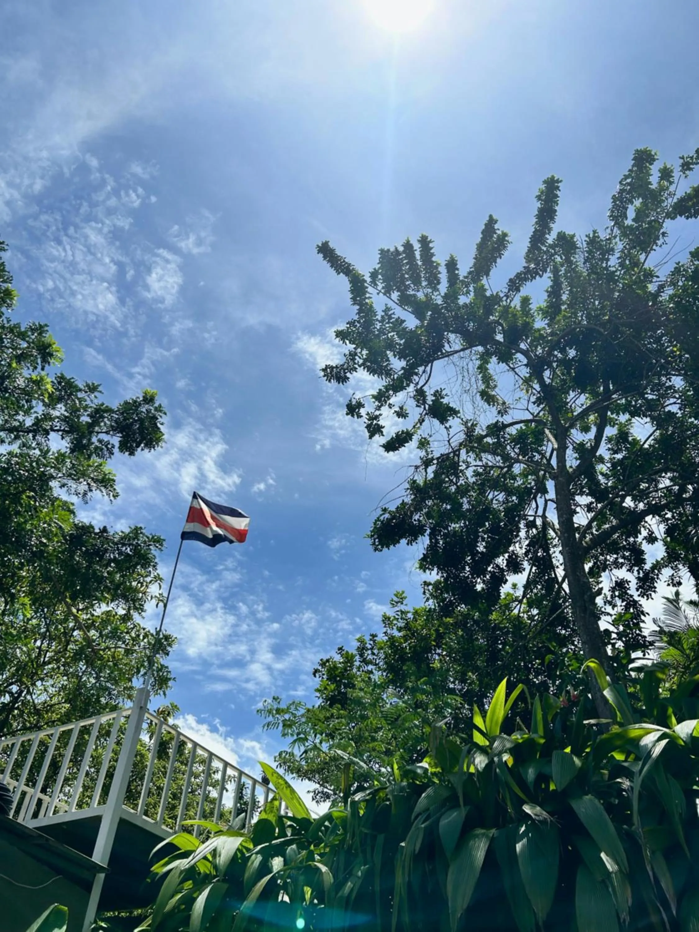 Natural landscape in B&B Garden Grecia