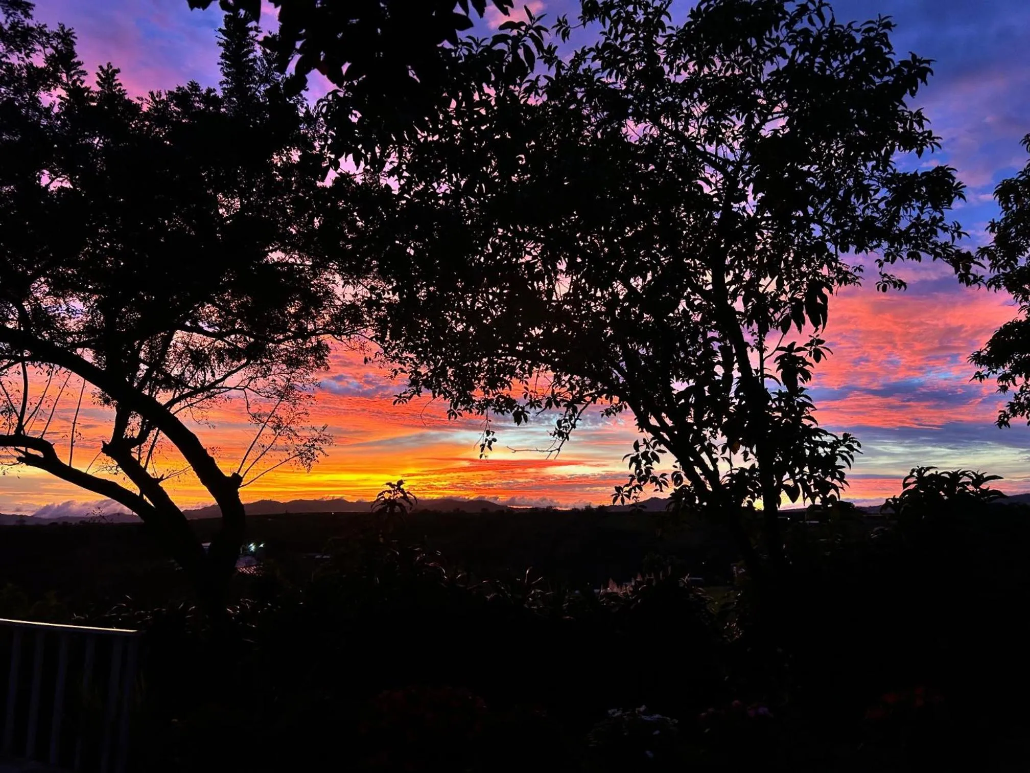 Summer in B&B Garden Grecia