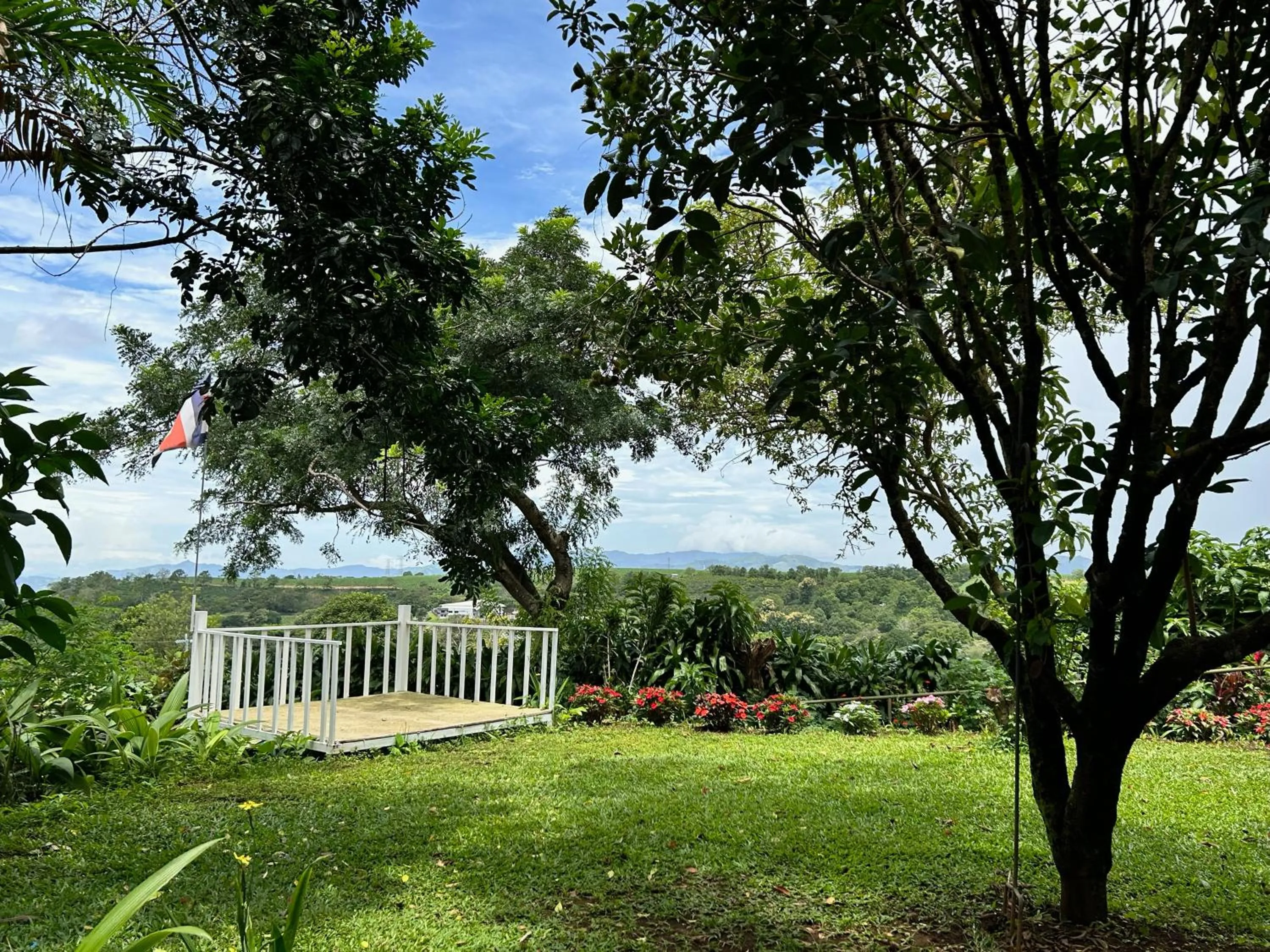 Garden in B&B Garden Grecia