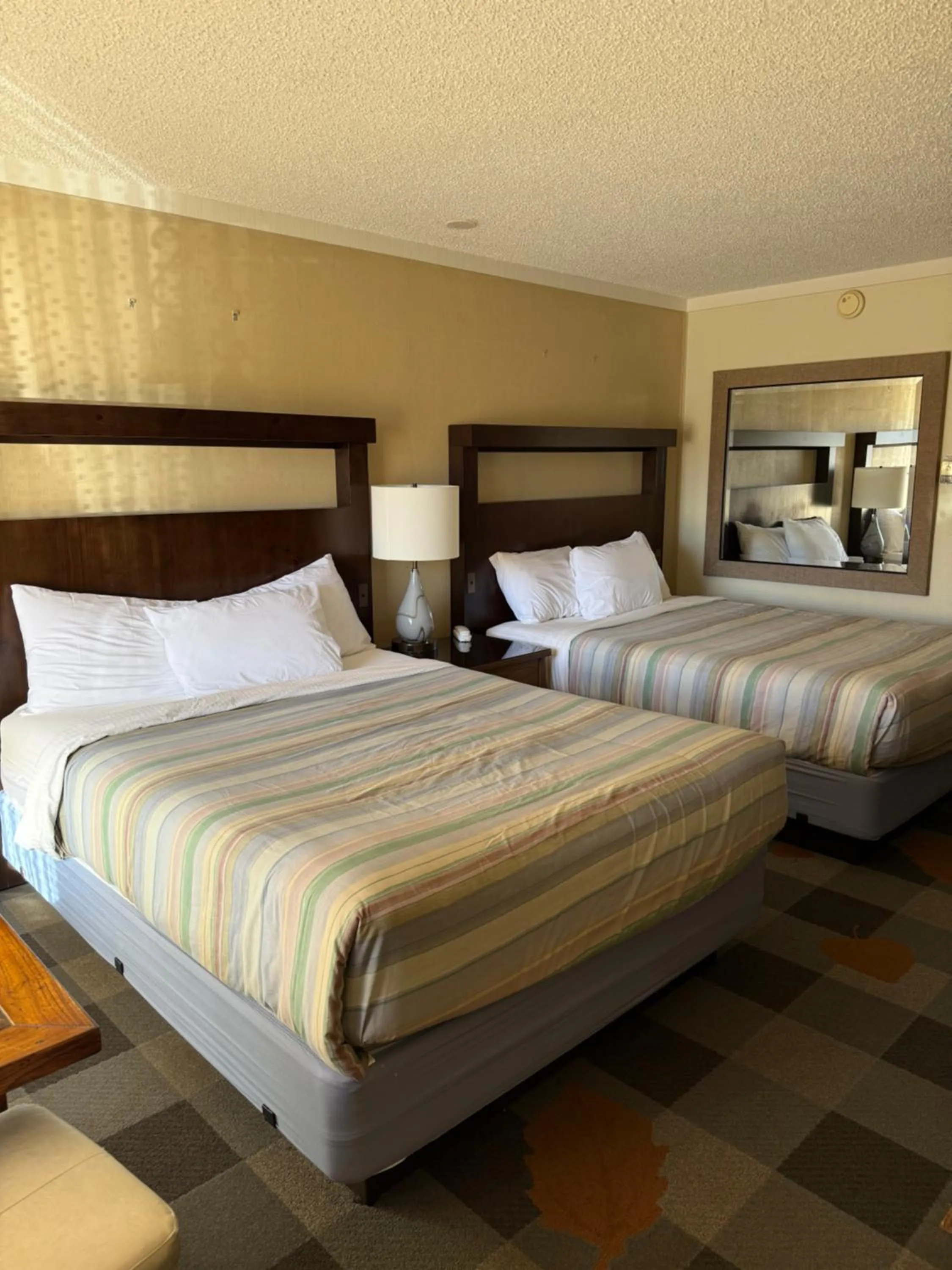 Bed in Snowshoe Motel