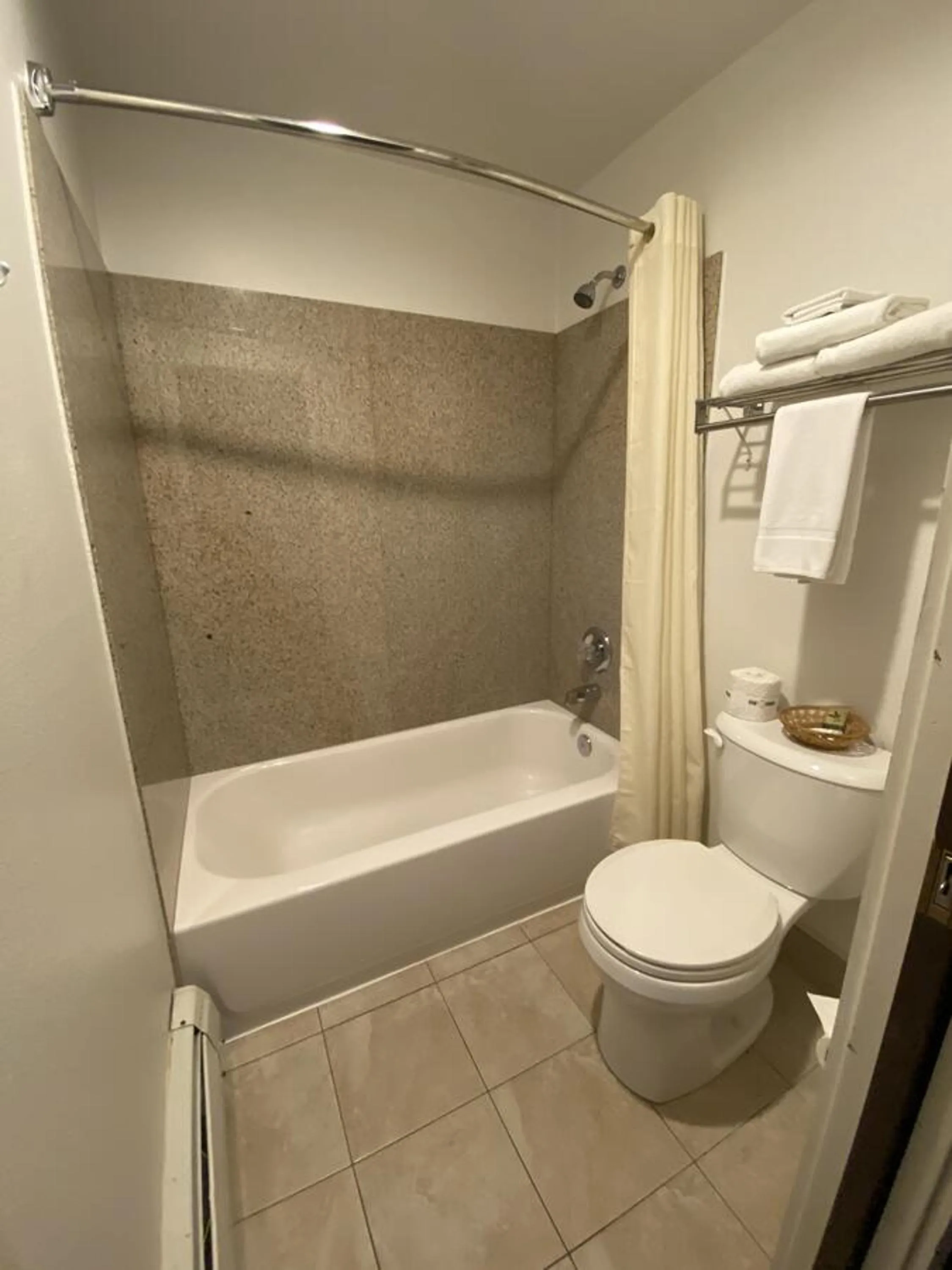 Toilet in Snowshoe Motel