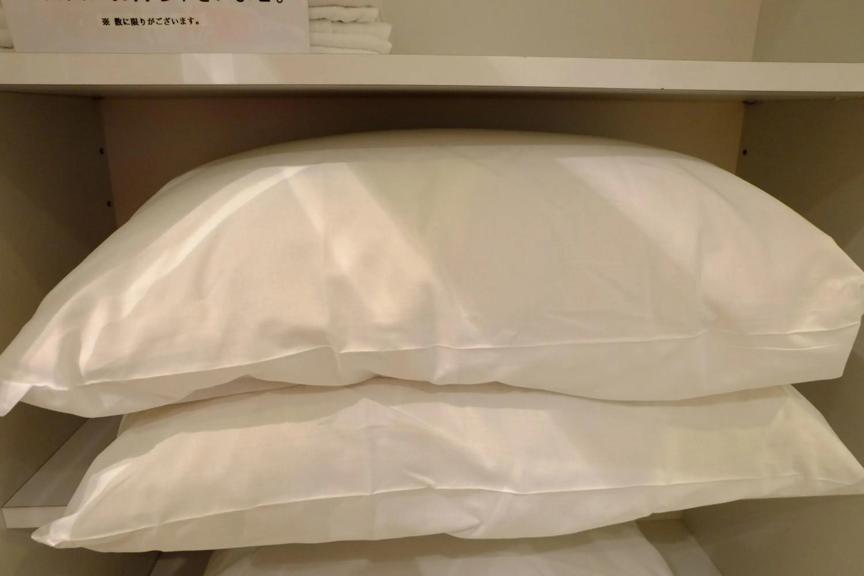 Area and facilities in Hotel Check In Shimbashi