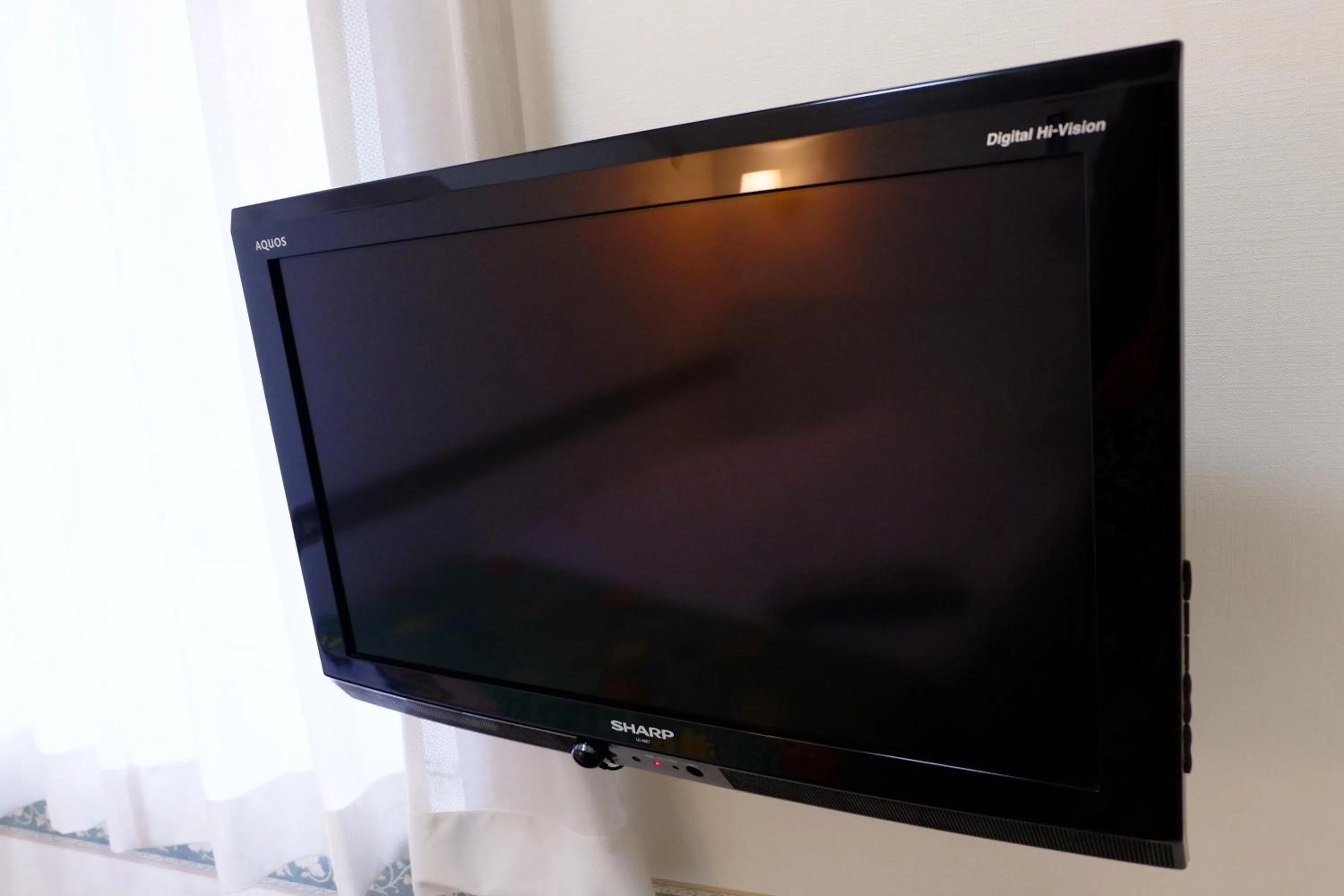 TV and multimedia in Hotel Check In Shimbashi