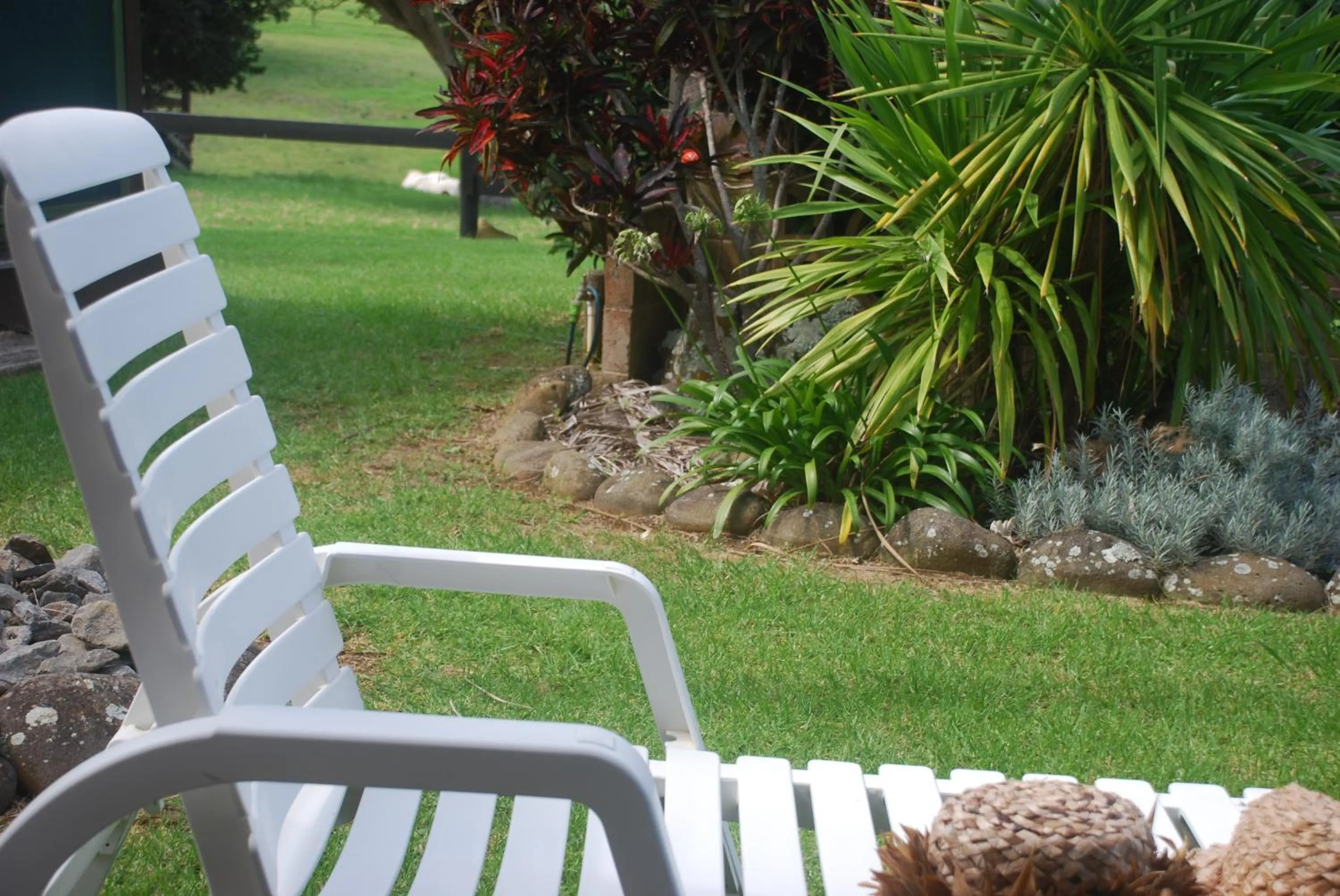 Garden in Coast Norfolk Island