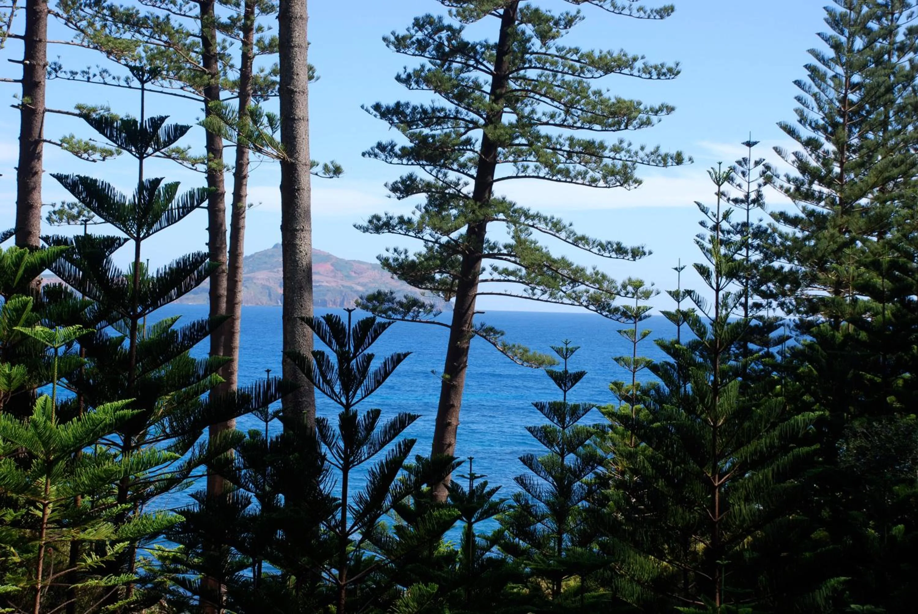 View (from property/room) in Coast Norfolk Island