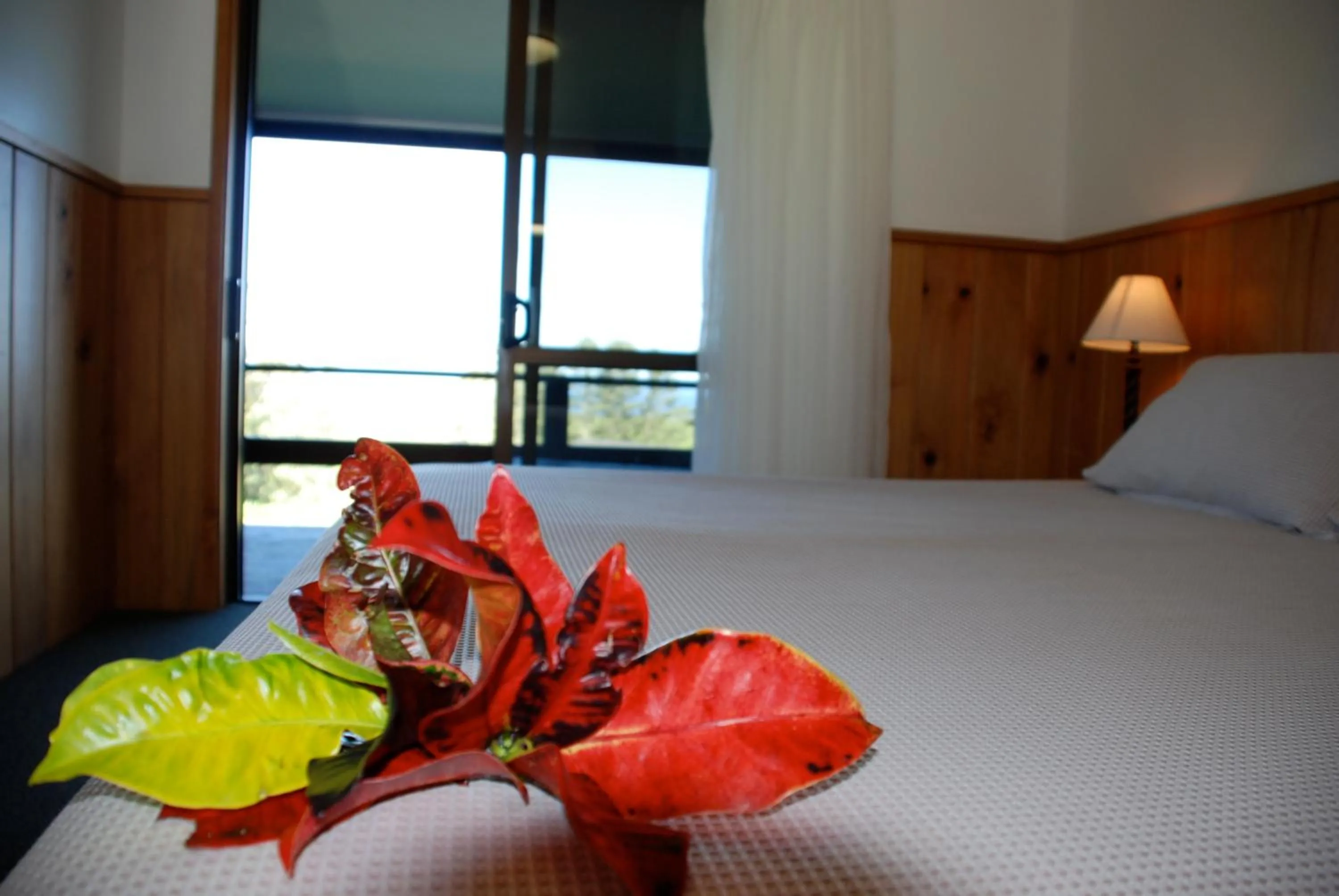 Bed in Coast Norfolk Island