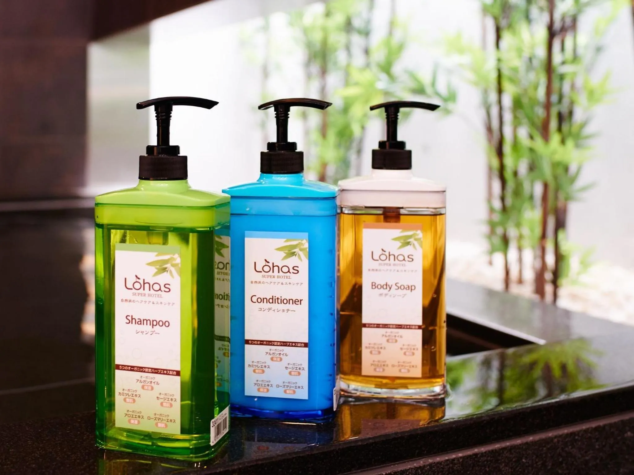 Other in Super Hotel Shinagawa Shinbanba