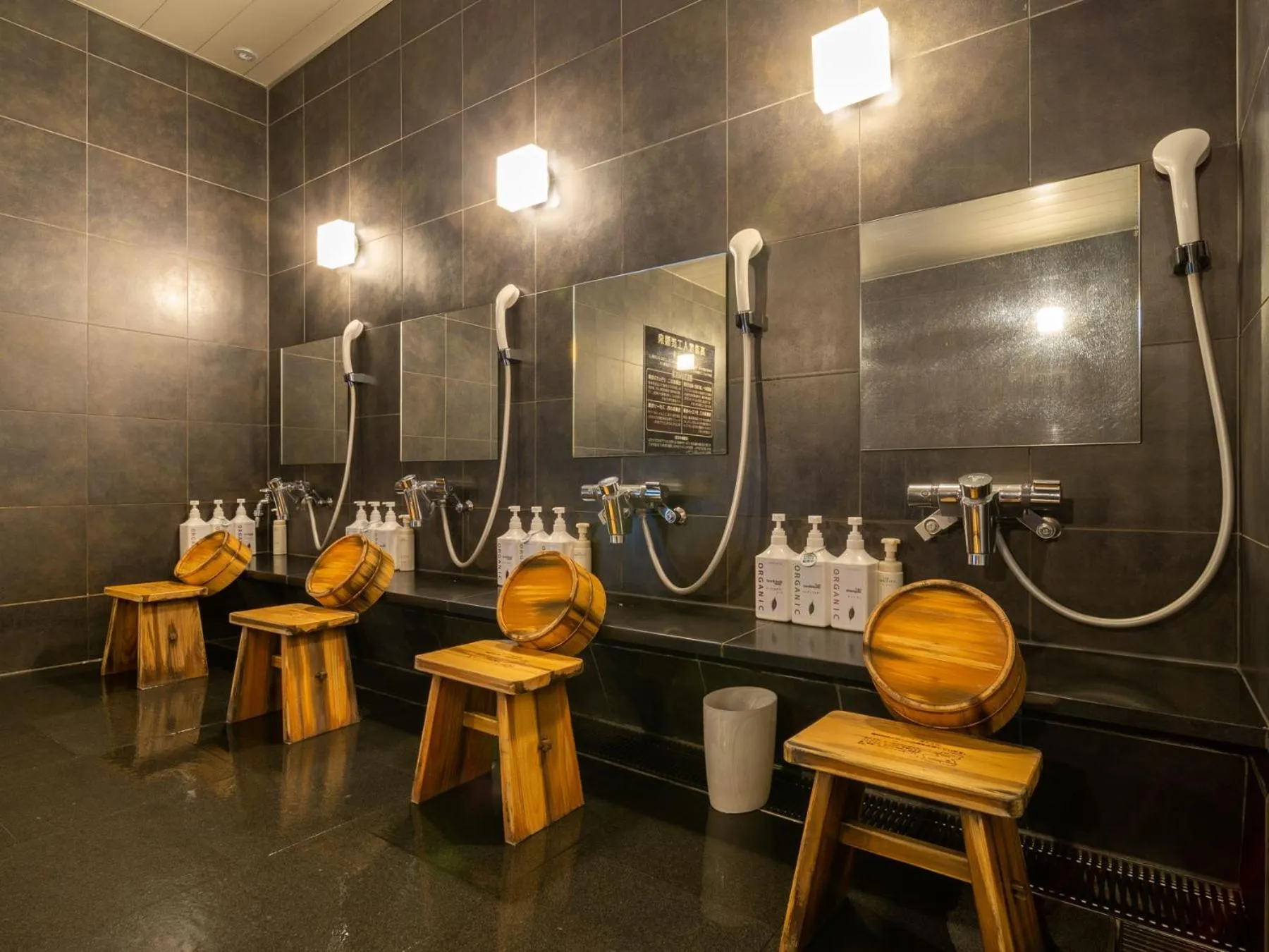 Public Bath in Super Hotel Shinagawa Shinbanba