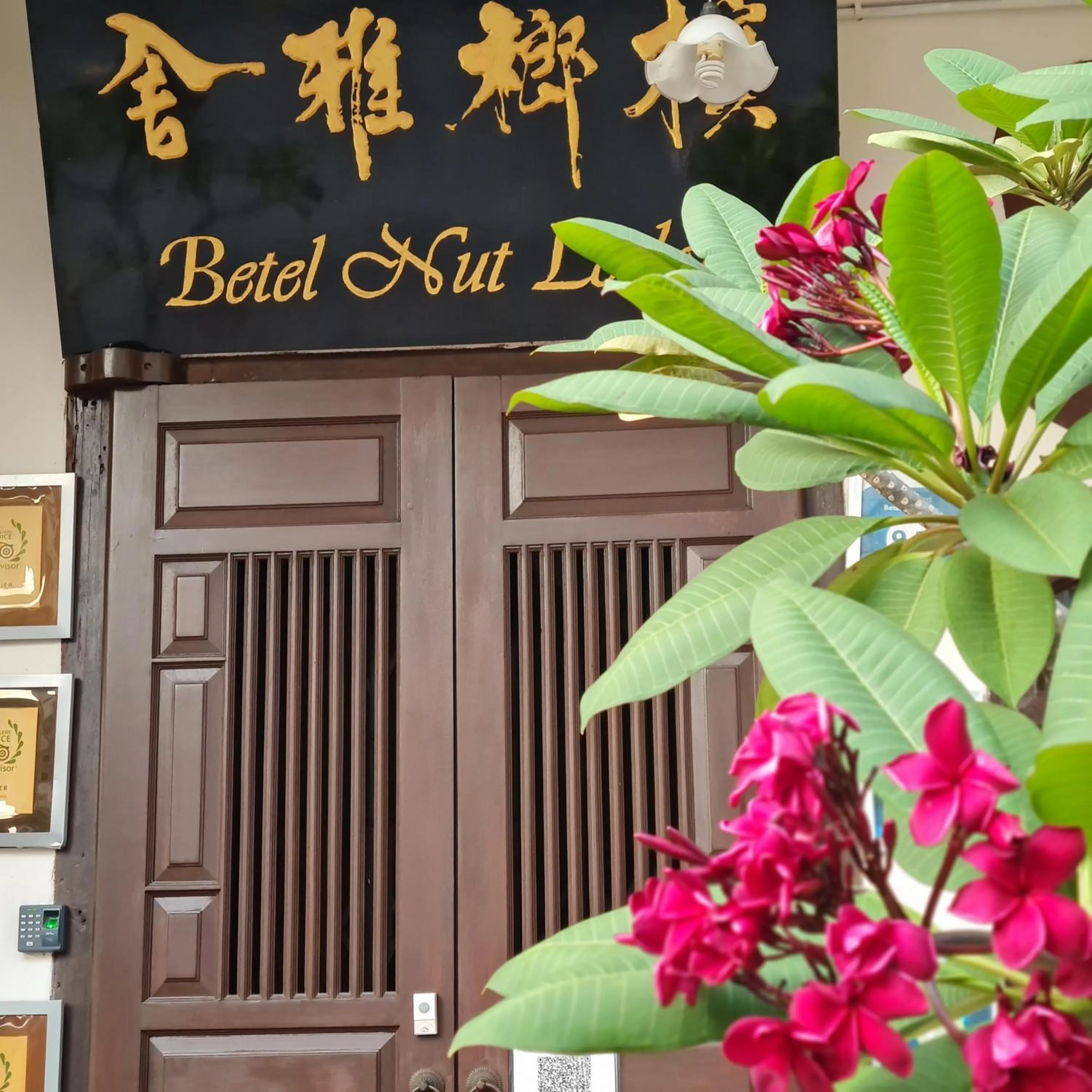Property building in Betel Nut Lodge