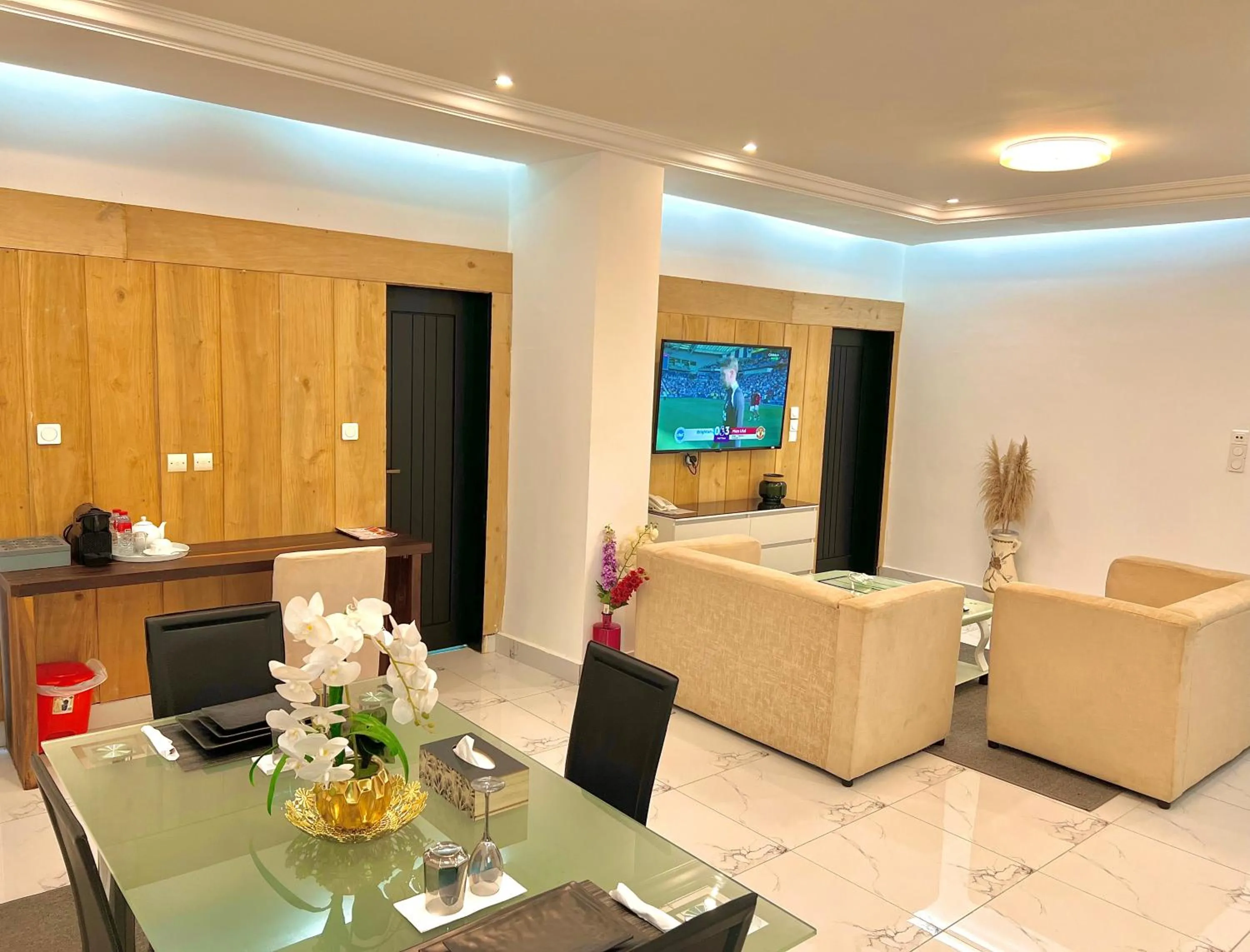 TV and multimedia in Appart Hotel Les orchidees