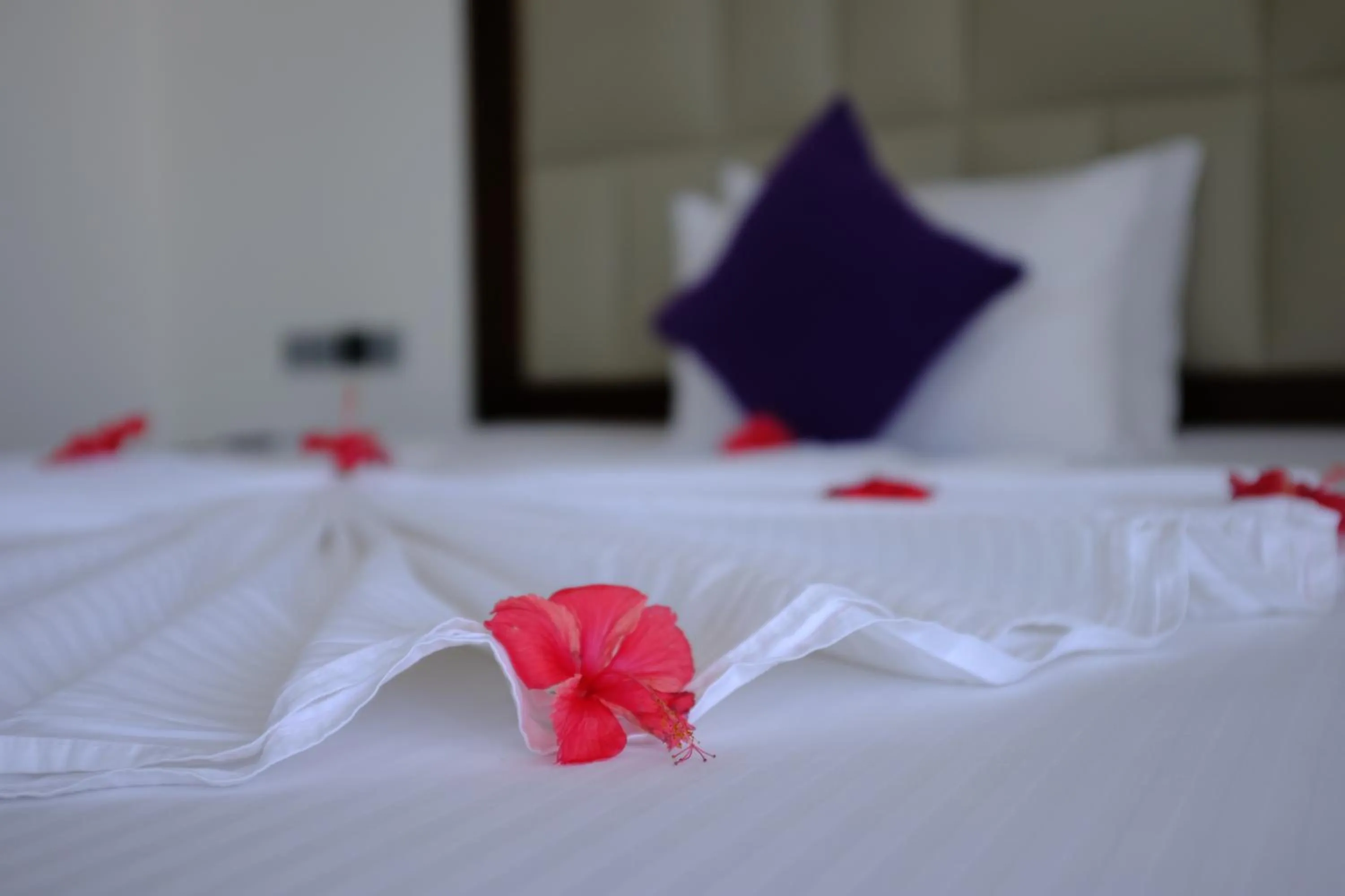 Bed in Mzion Hotel Weligama