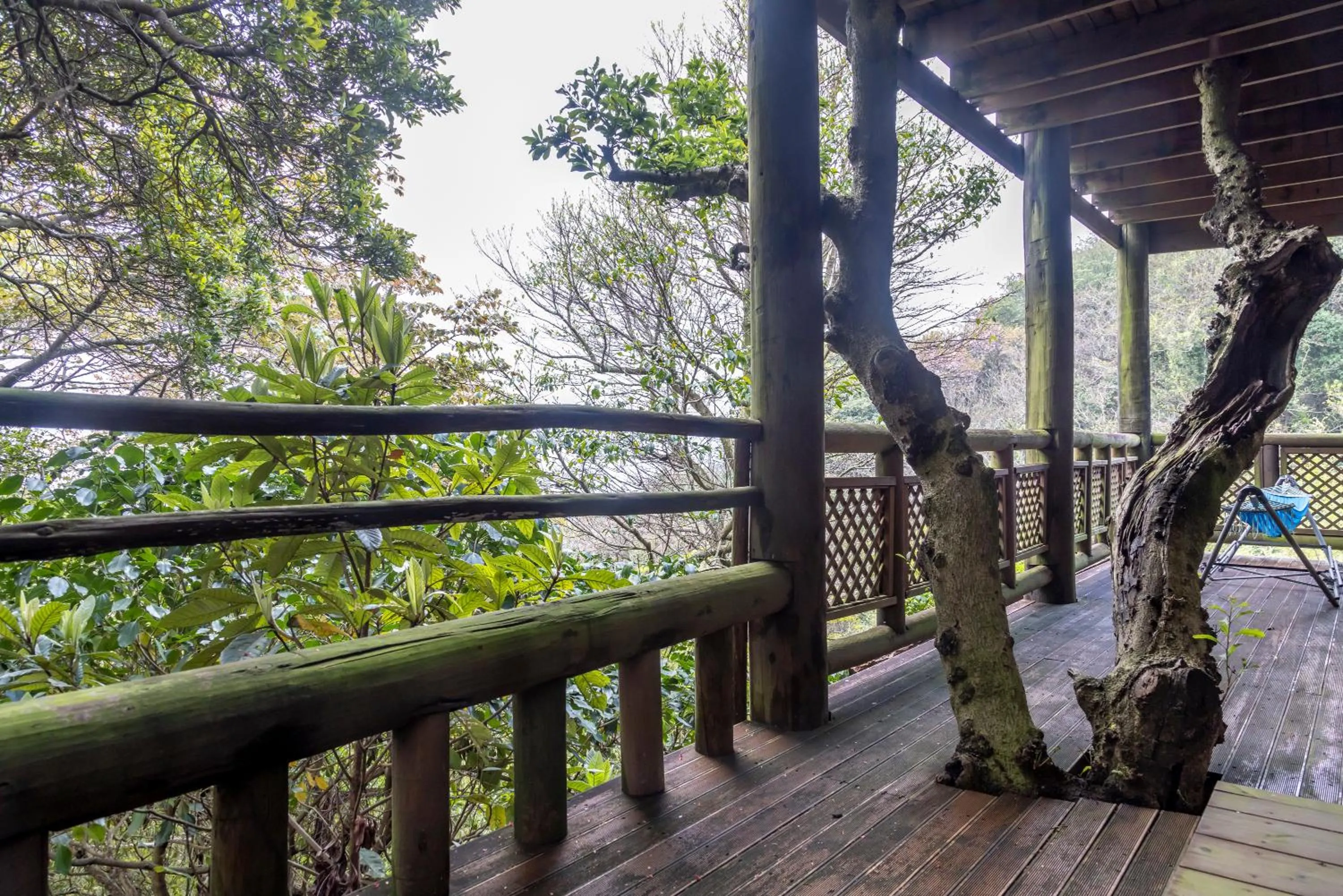 View (from property/room) in Chidorian