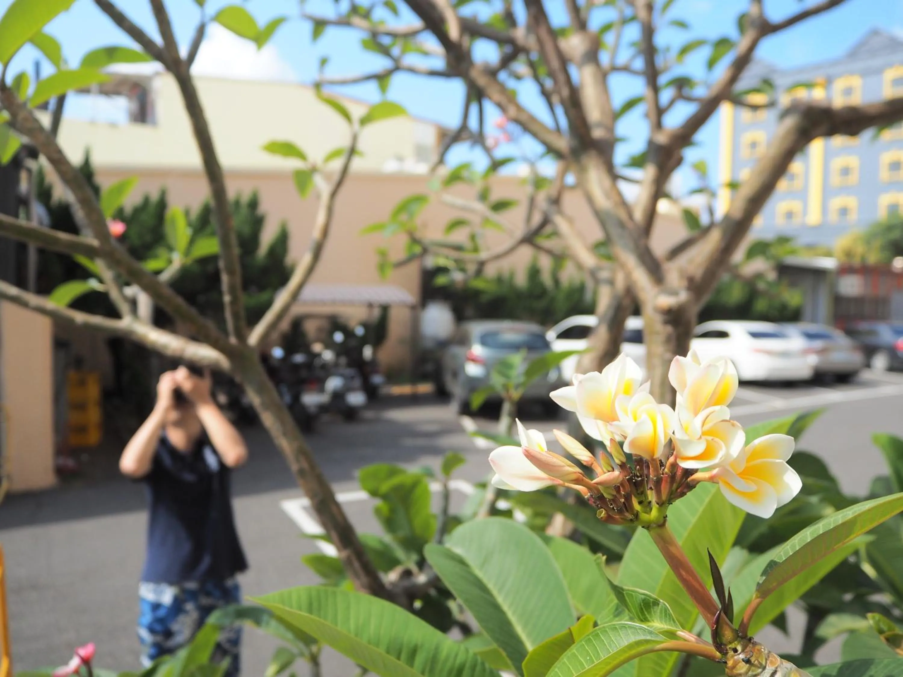 Garden view in The Riverside Hotel Hengchun