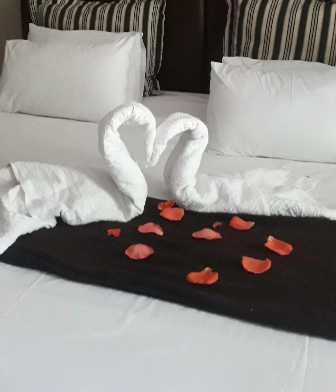 Property building, Bed in Aviators Retreat B&B