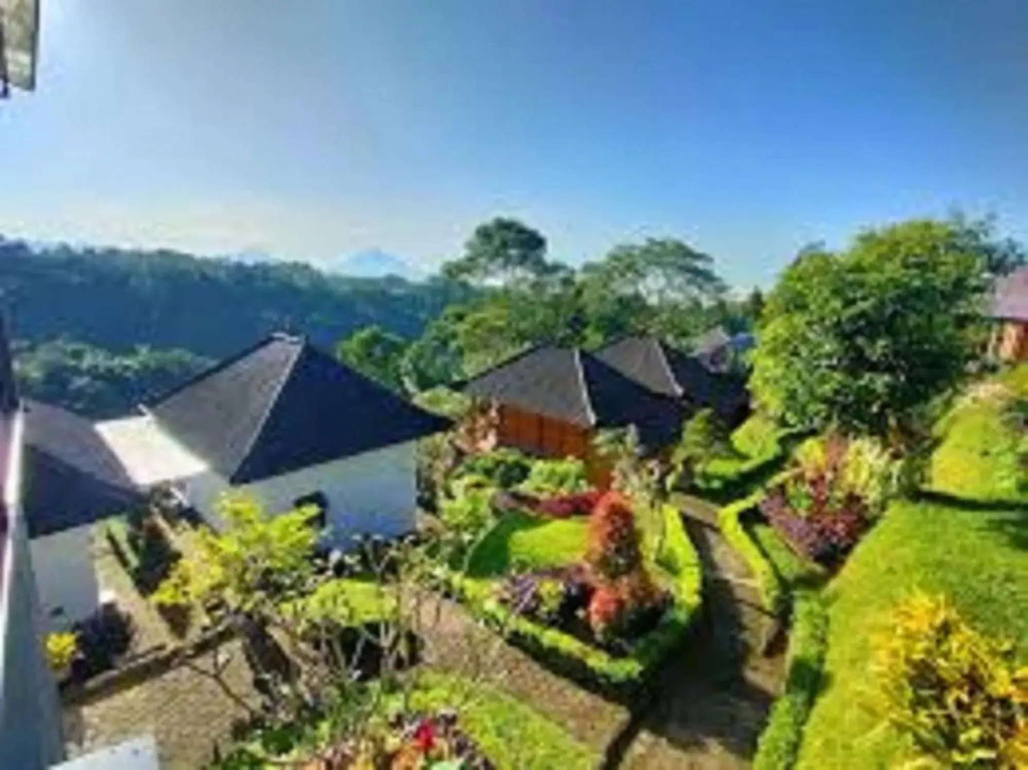 The Green Ponci Bedugul The Green Ponci Bedugul