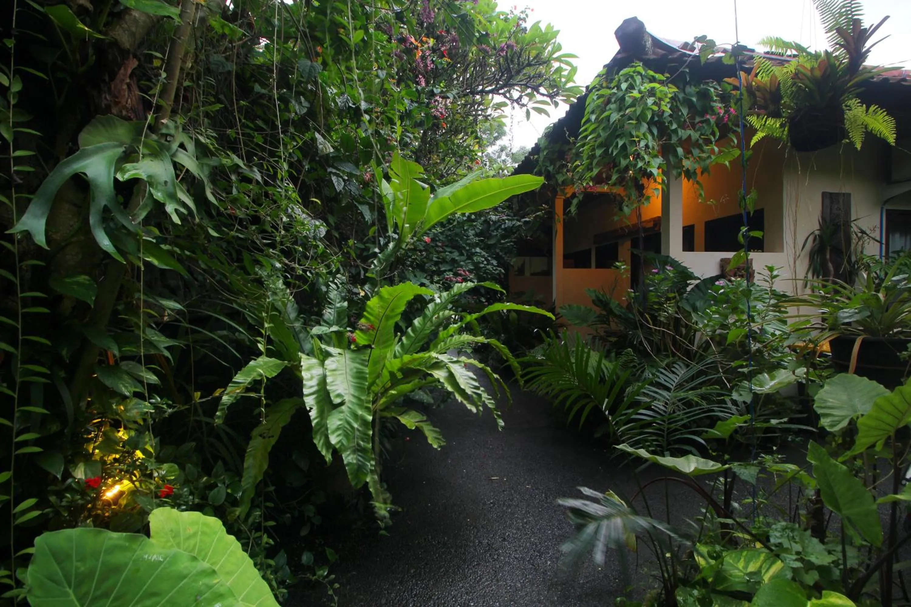 Garden in Sari Gong Guest House, A Trishula Collection