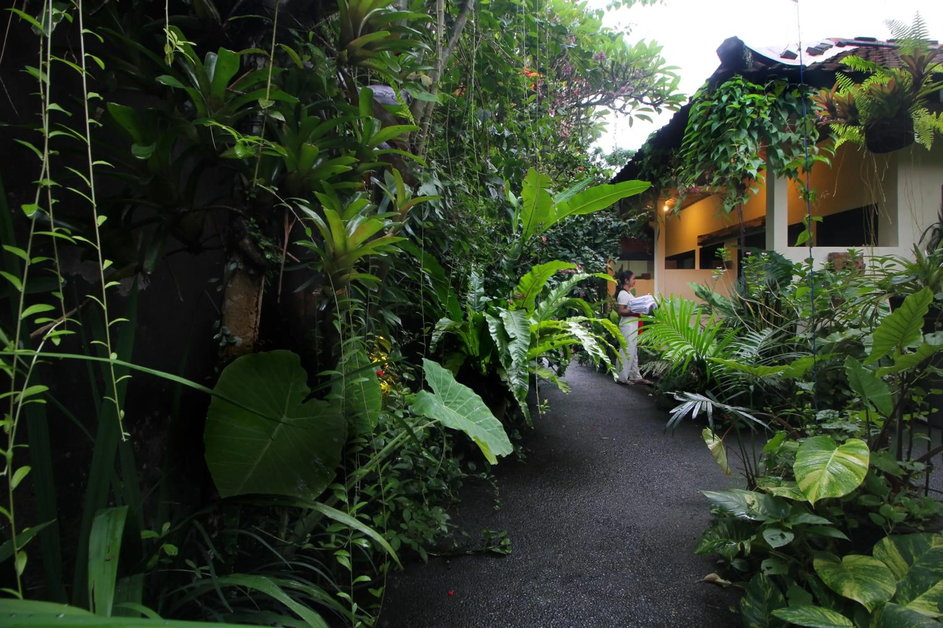 Garden in Sari Gong Guest House, A Trishula Collection