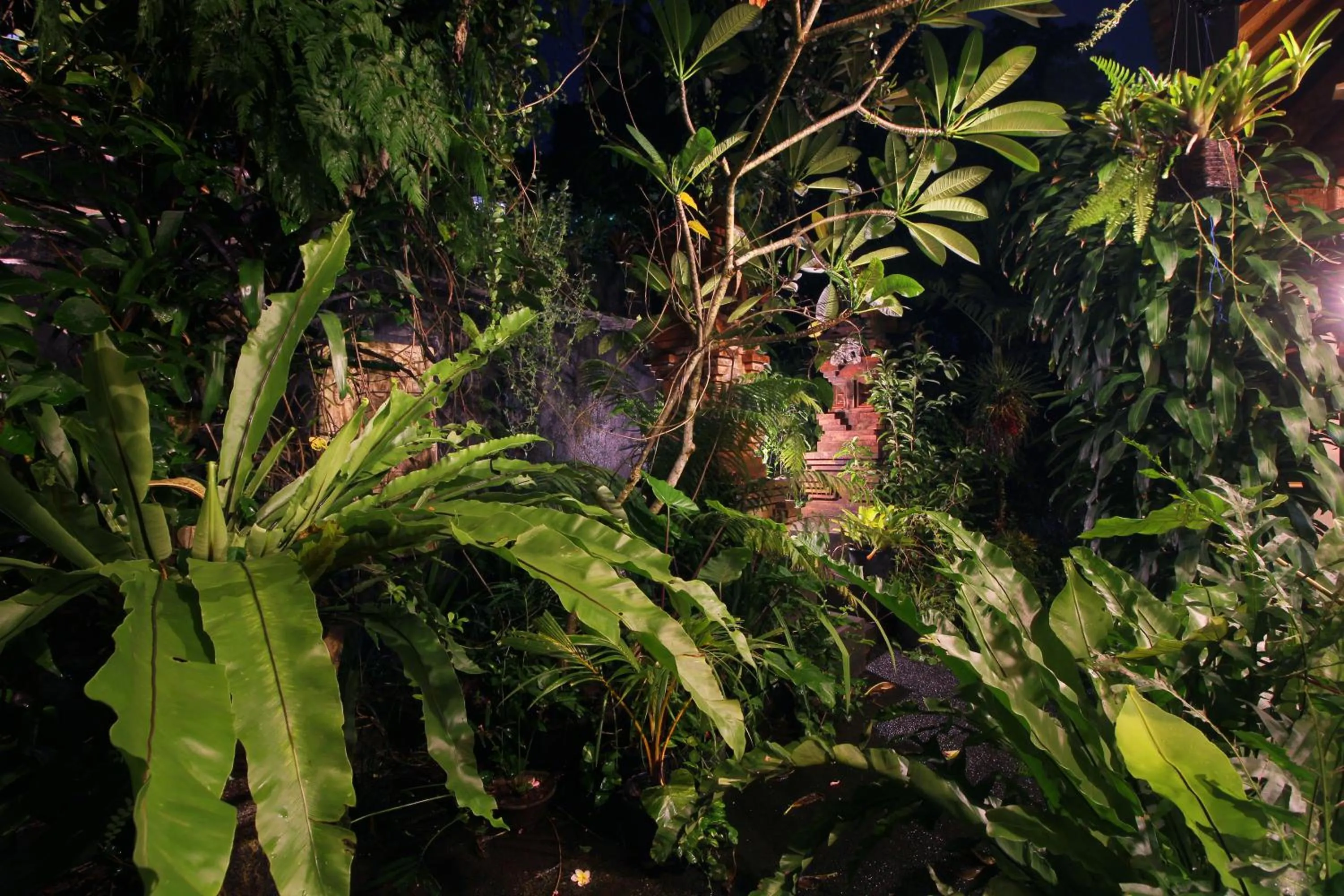 Garden in Sari Gong Guest House, A Trishula Collection