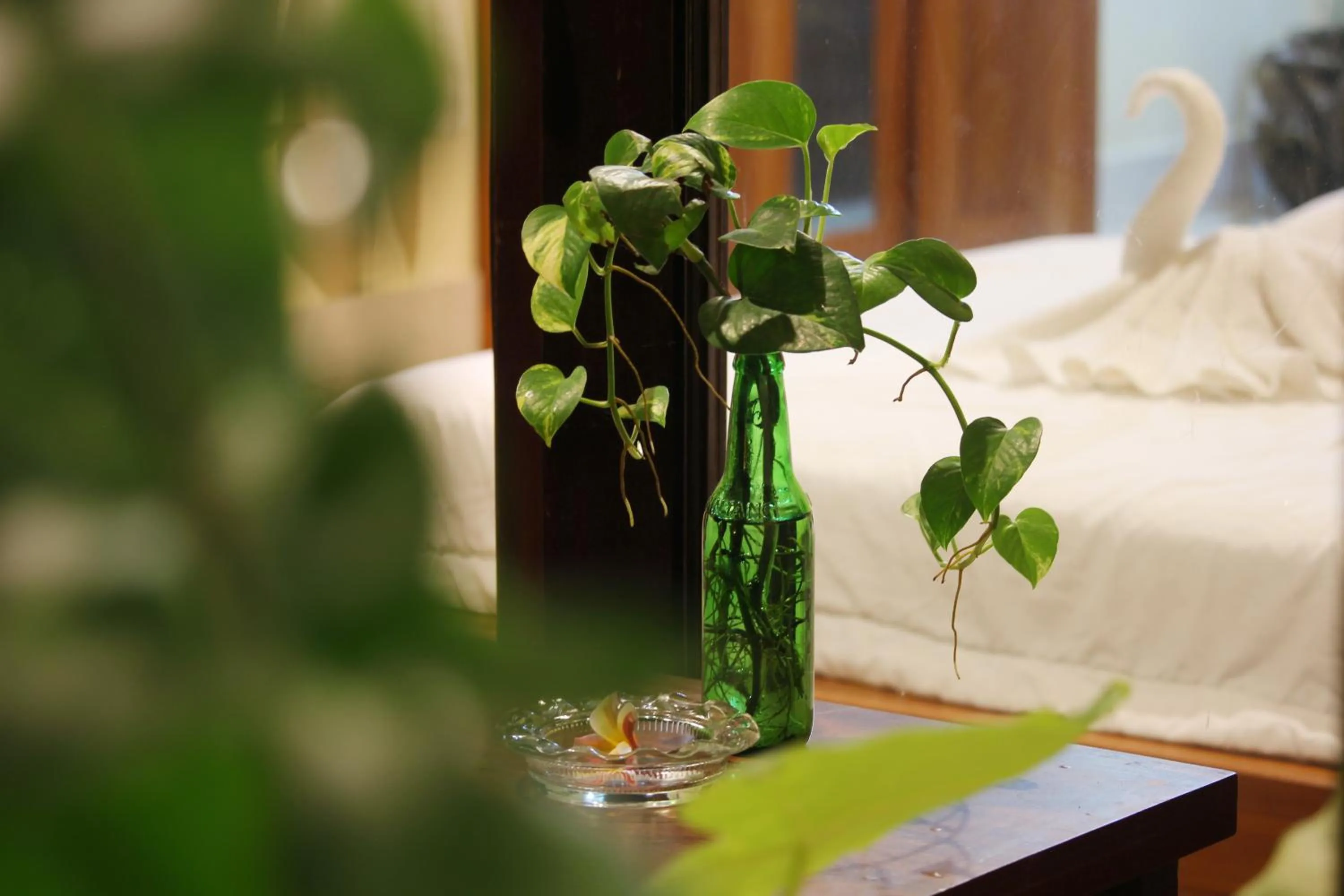 Decorative detail, Bed in Sari Gong Guest House, A Trishula Collection