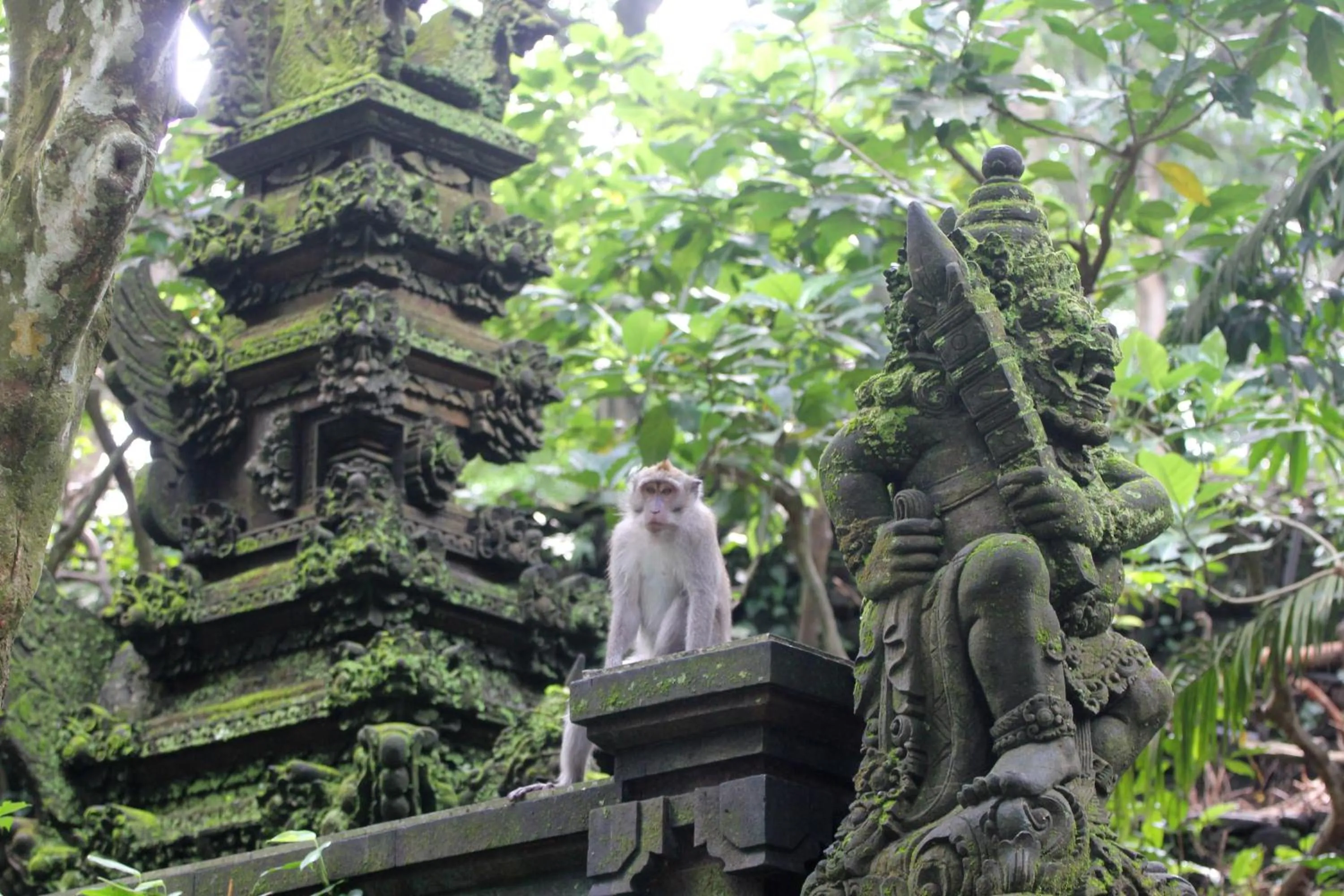 Nearby landmark in Sari Gong Guest House, A Trishula Collection