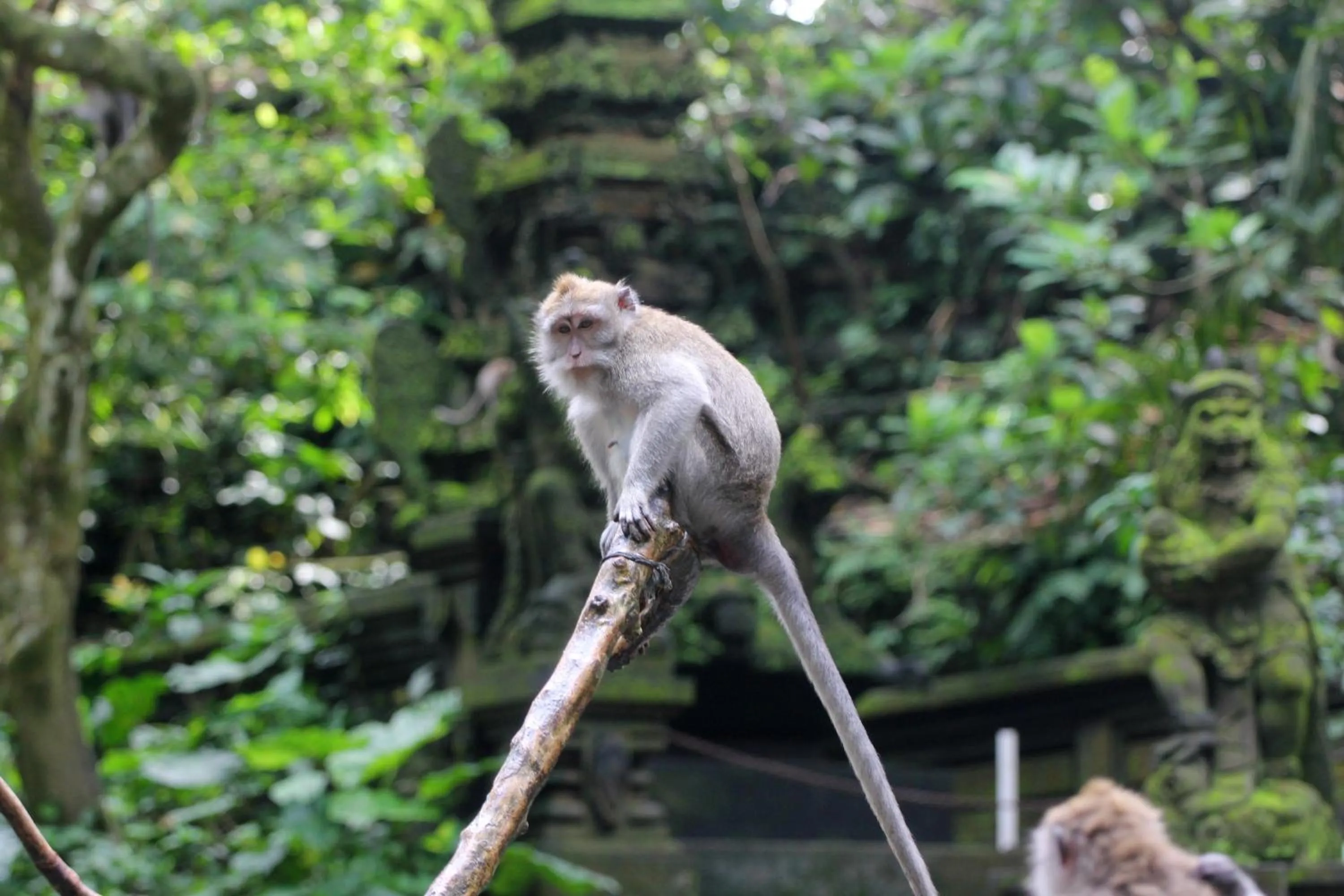 Property building in Sari Gong Guest House, A Trishula Collection