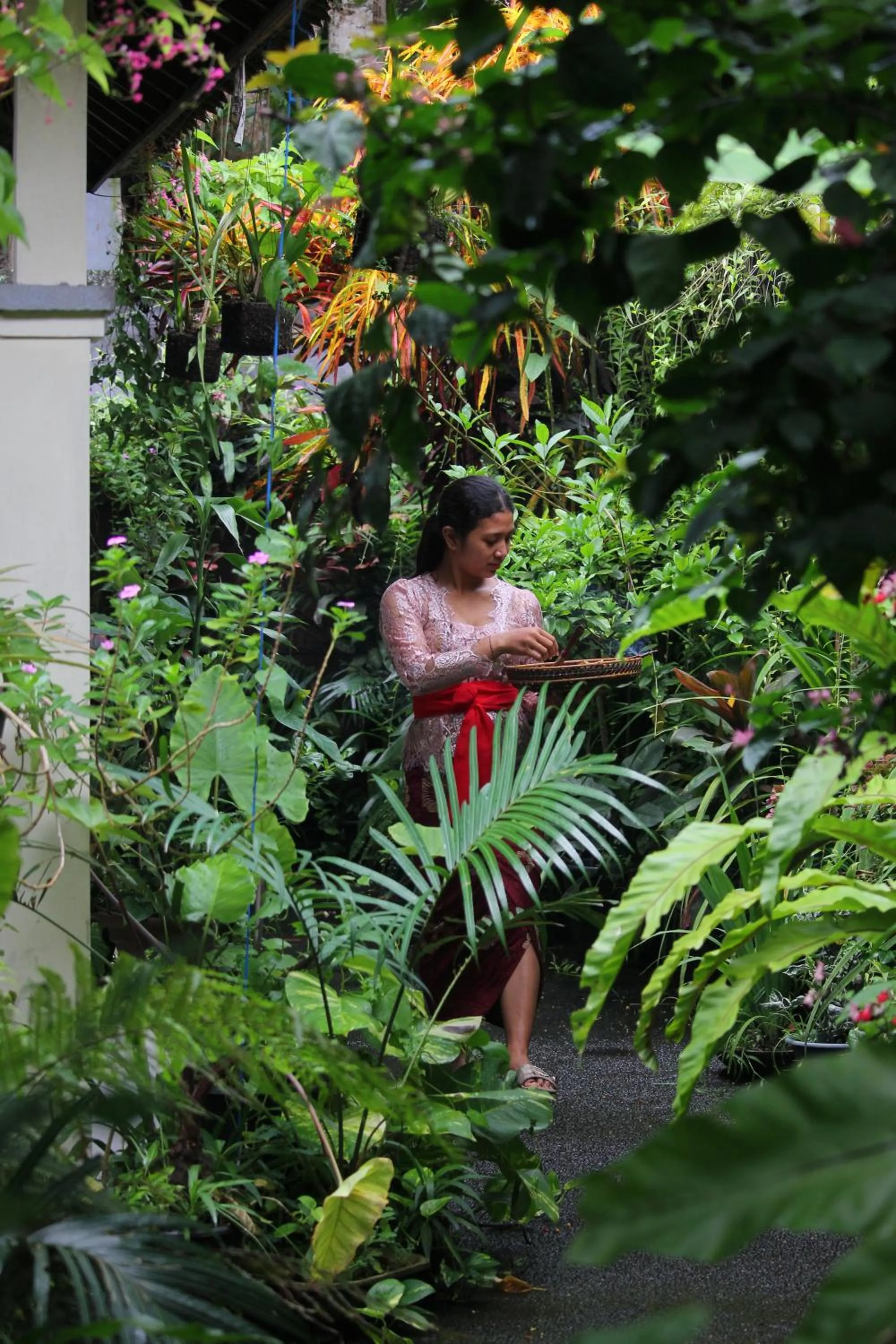 Garden in Sari Gong Guest House, A Trishula Collection