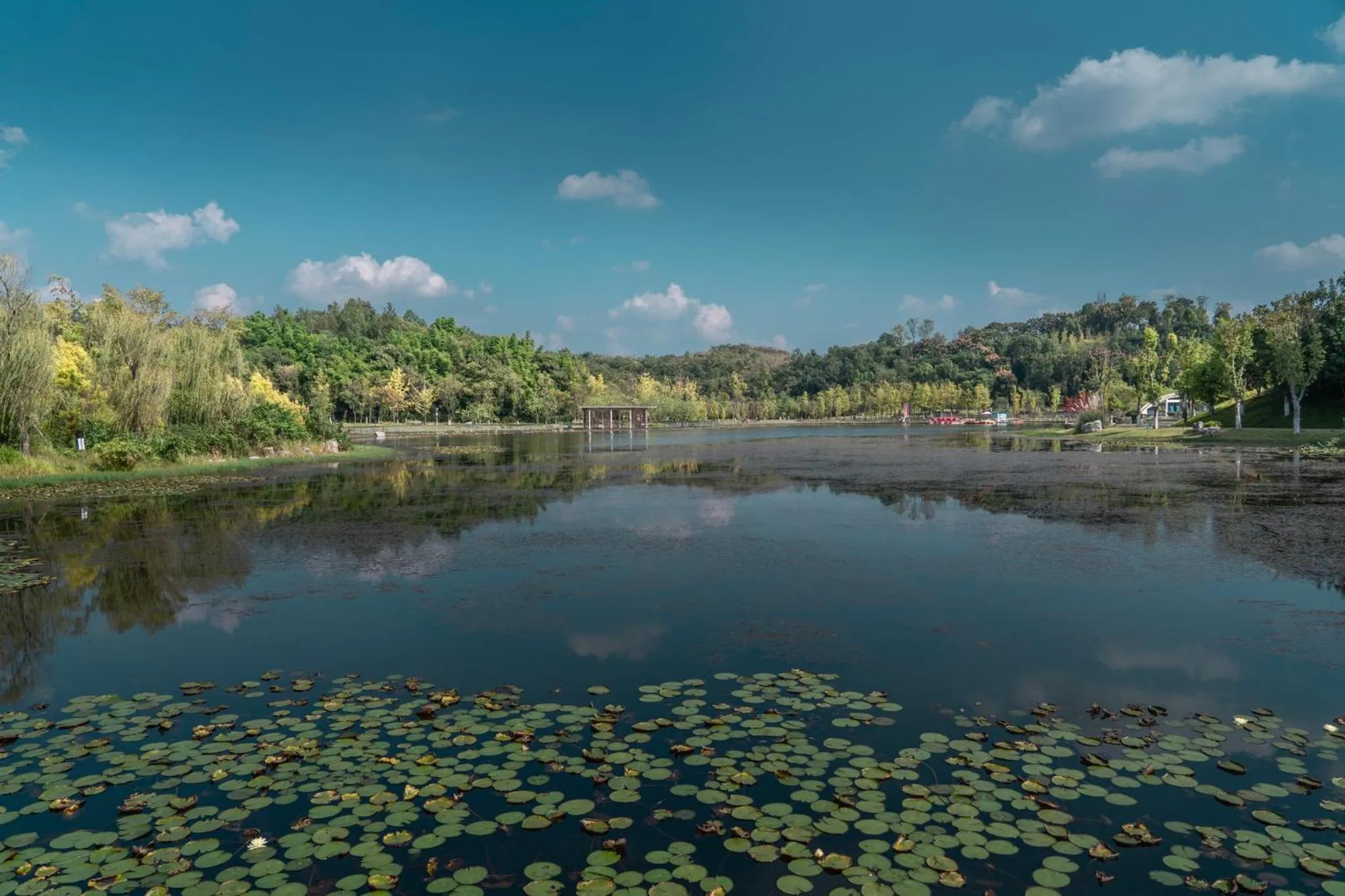 Area and facilities in Holiday Inn Chengdu East by IHG