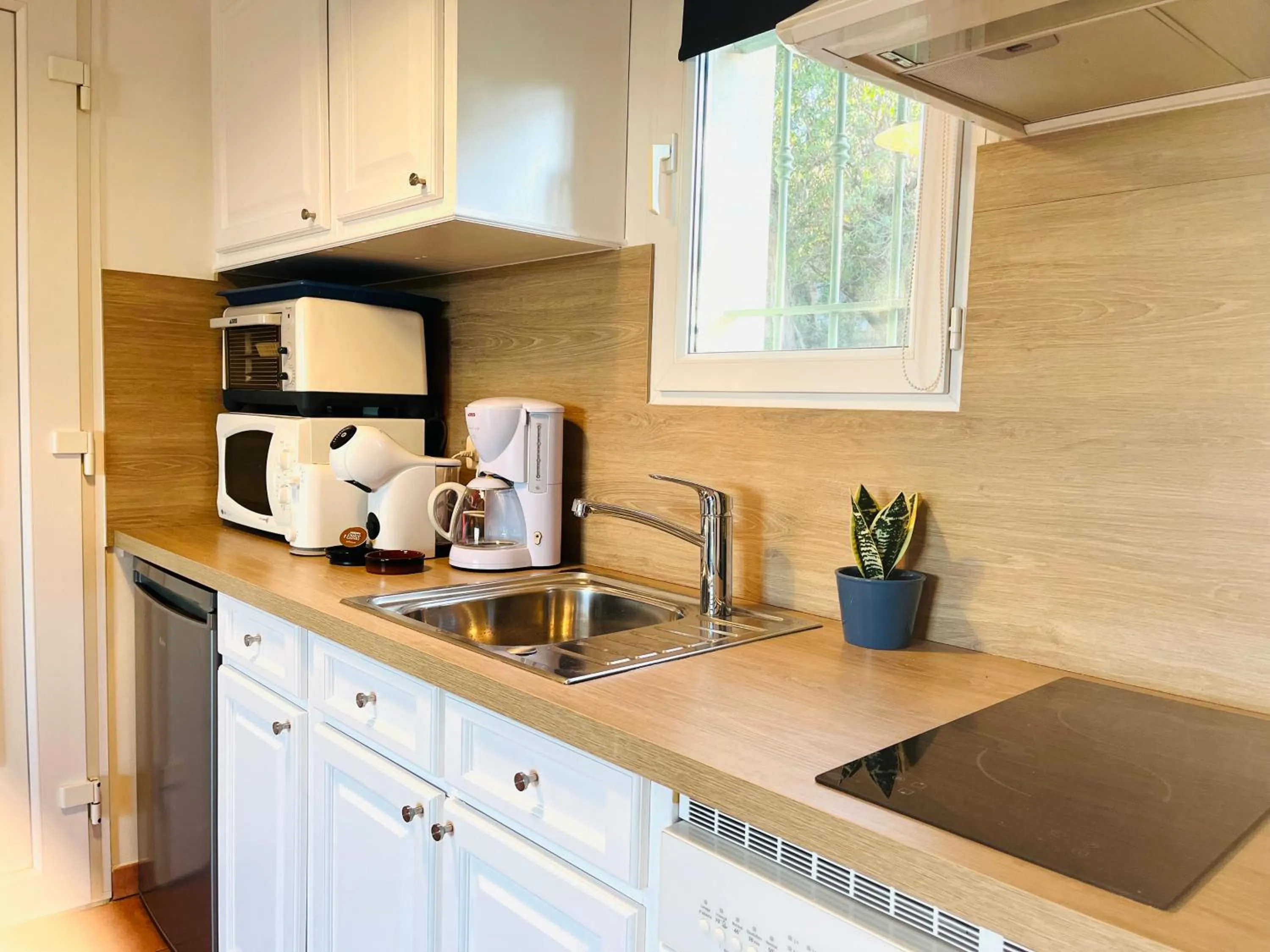 Kitchen or kitchenette in Villa Romuald
