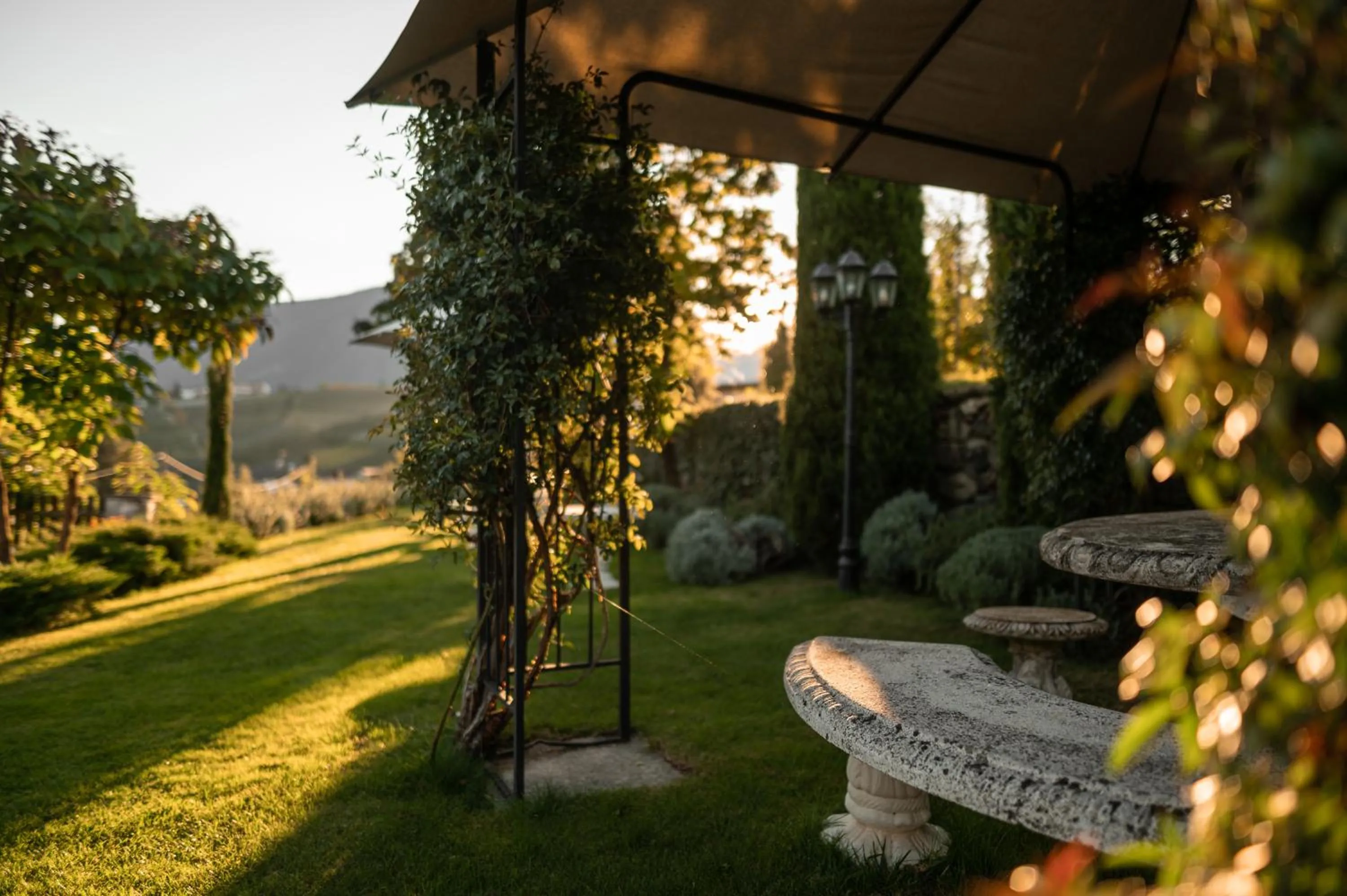 Garden in Hotel Chalet Gravenstein