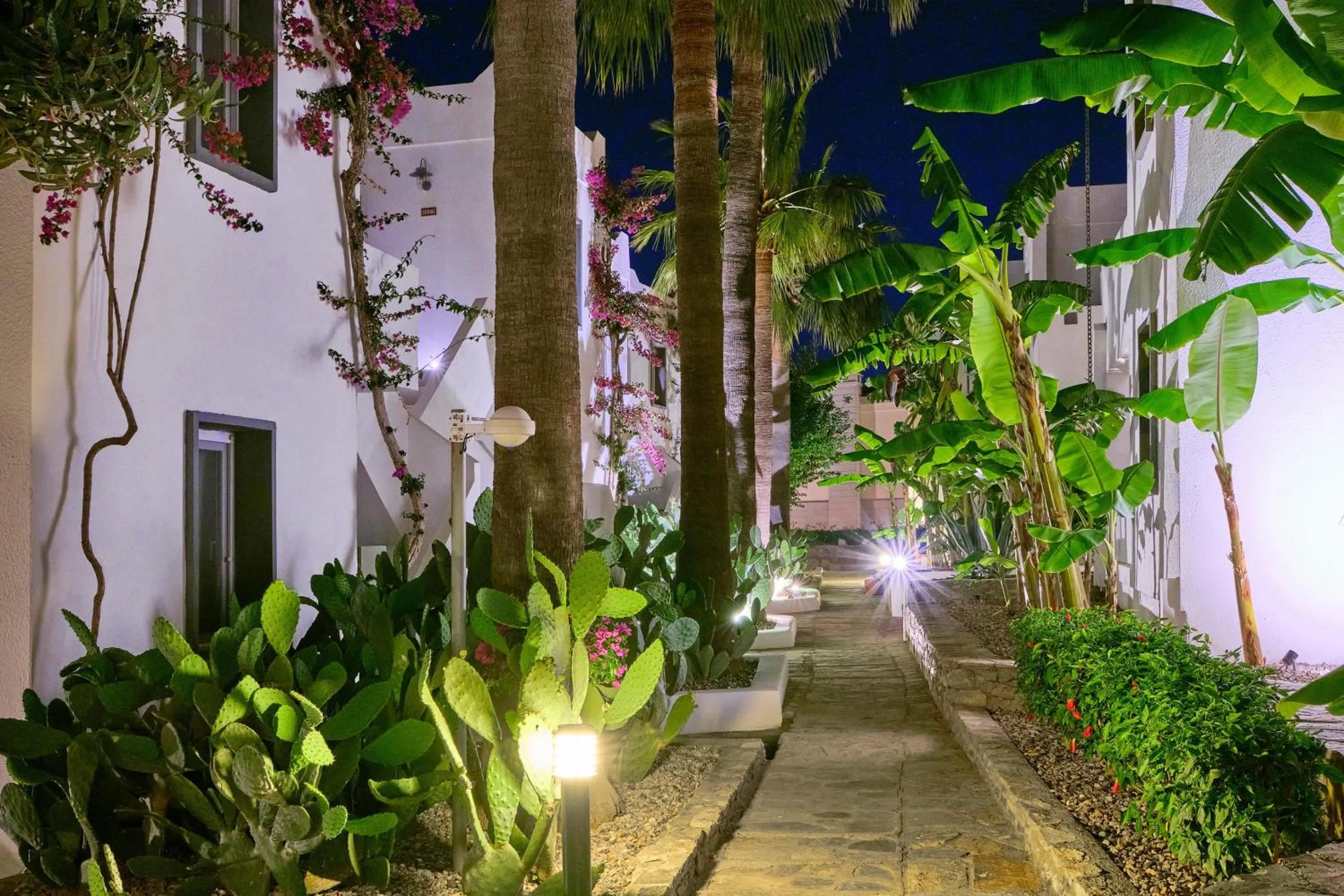 Natural landscape in YAZ Yalıkavak