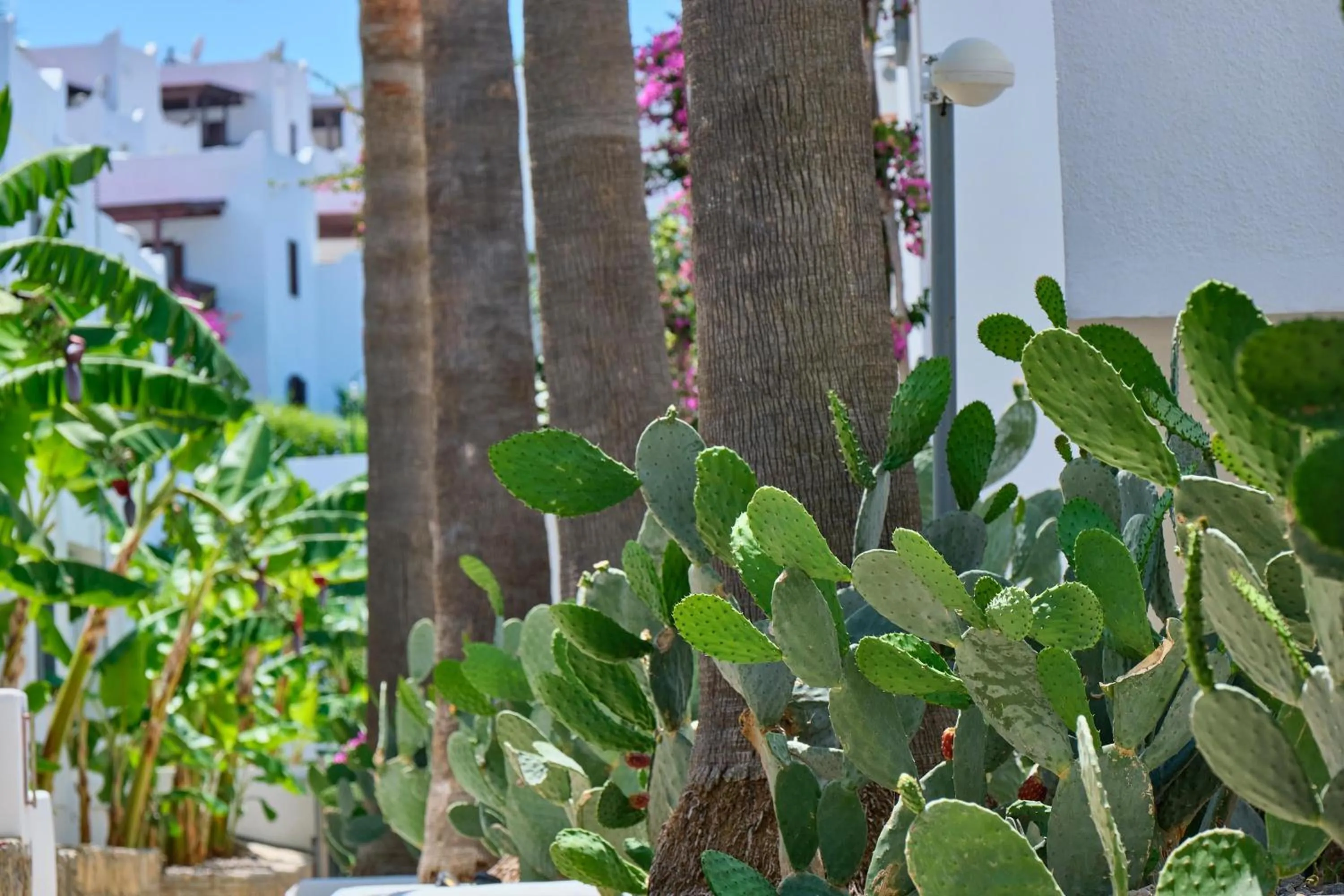 Garden in YAZ Yalıkavak