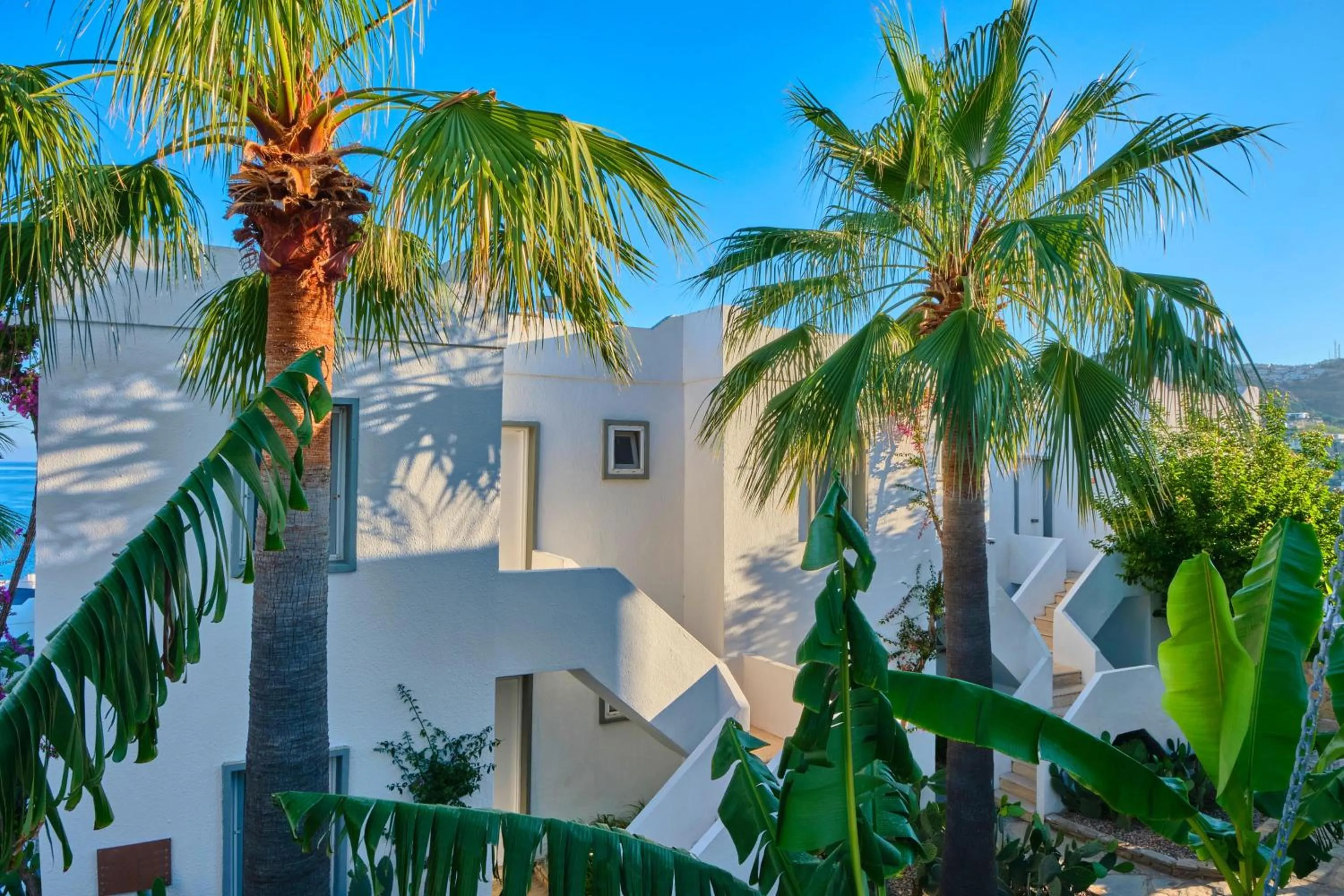 Property building in YAZ Yalıkavak